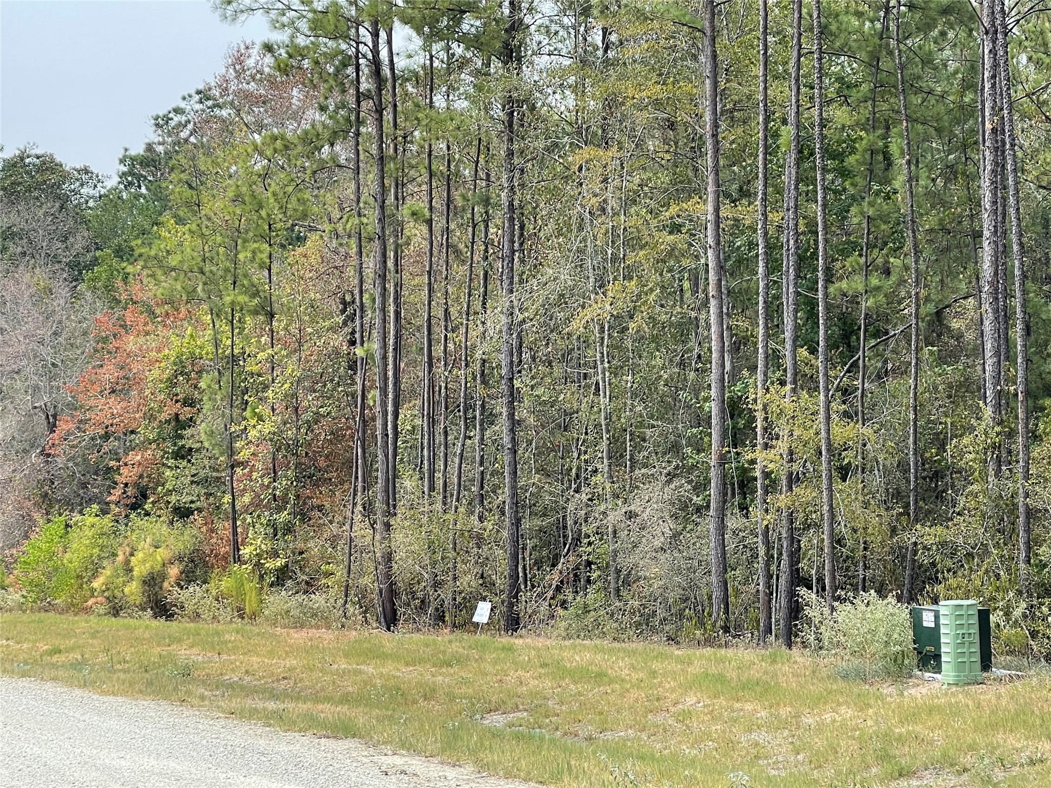 11623 Dawn Tree Lane Property Photo 7