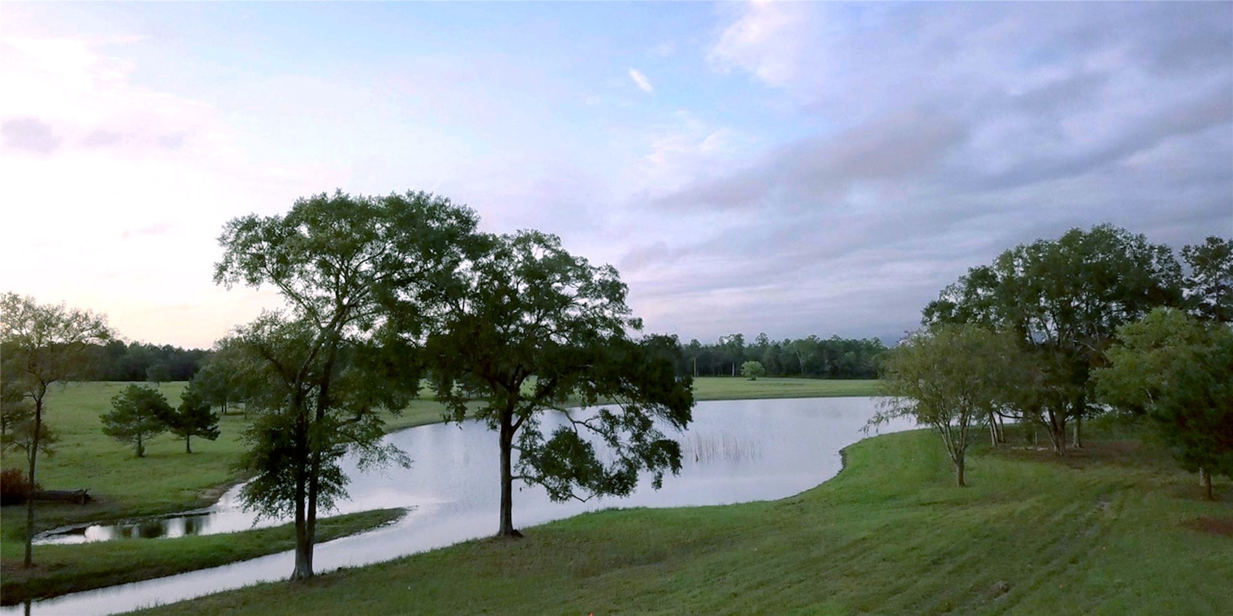 11623 Dawn Tree Lane Property Photo 12