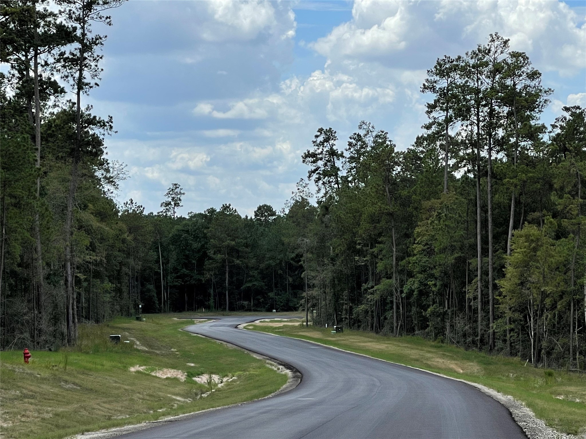 11623 Dawn Tree Lane Property Photo 14