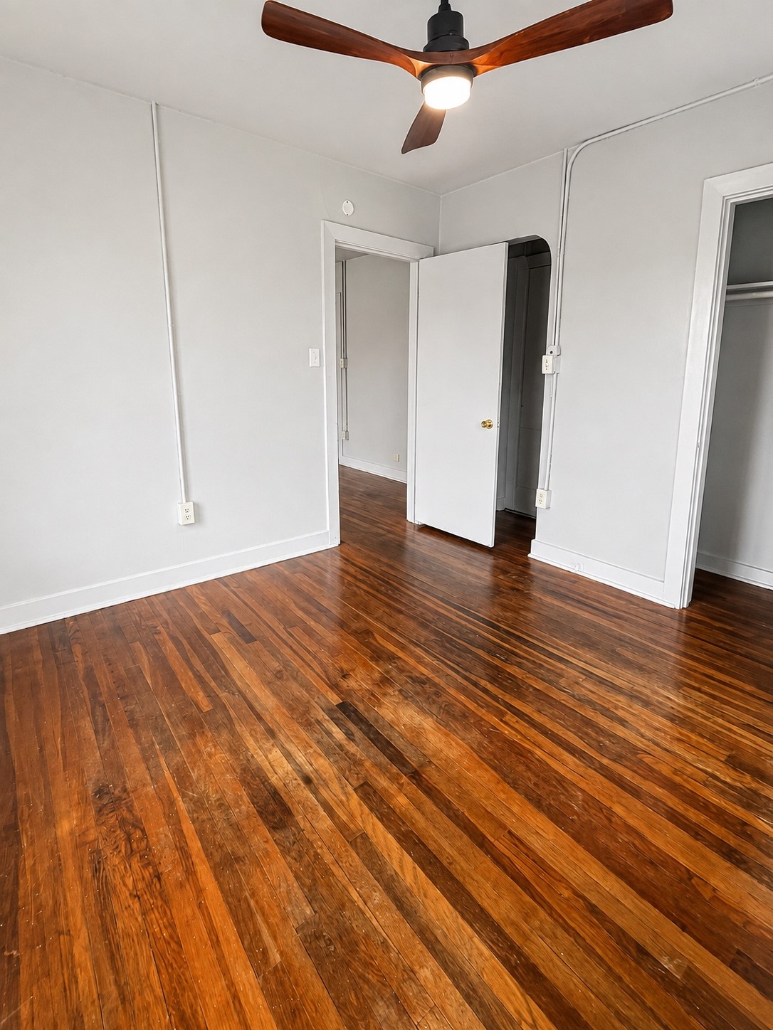 1905 Colquitt Street 4 Property Photo 6