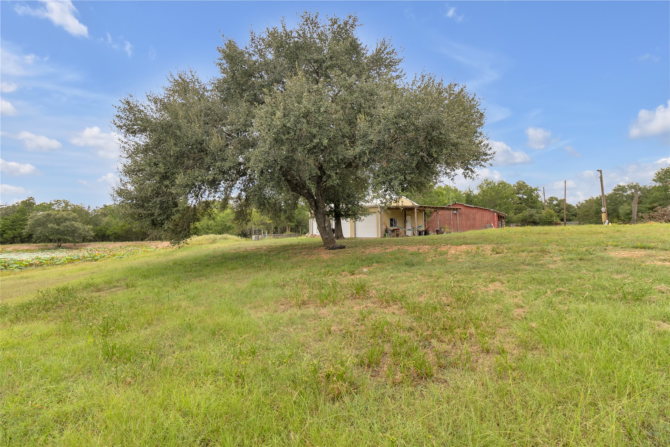 2396 Fm 109 Property Photo 14