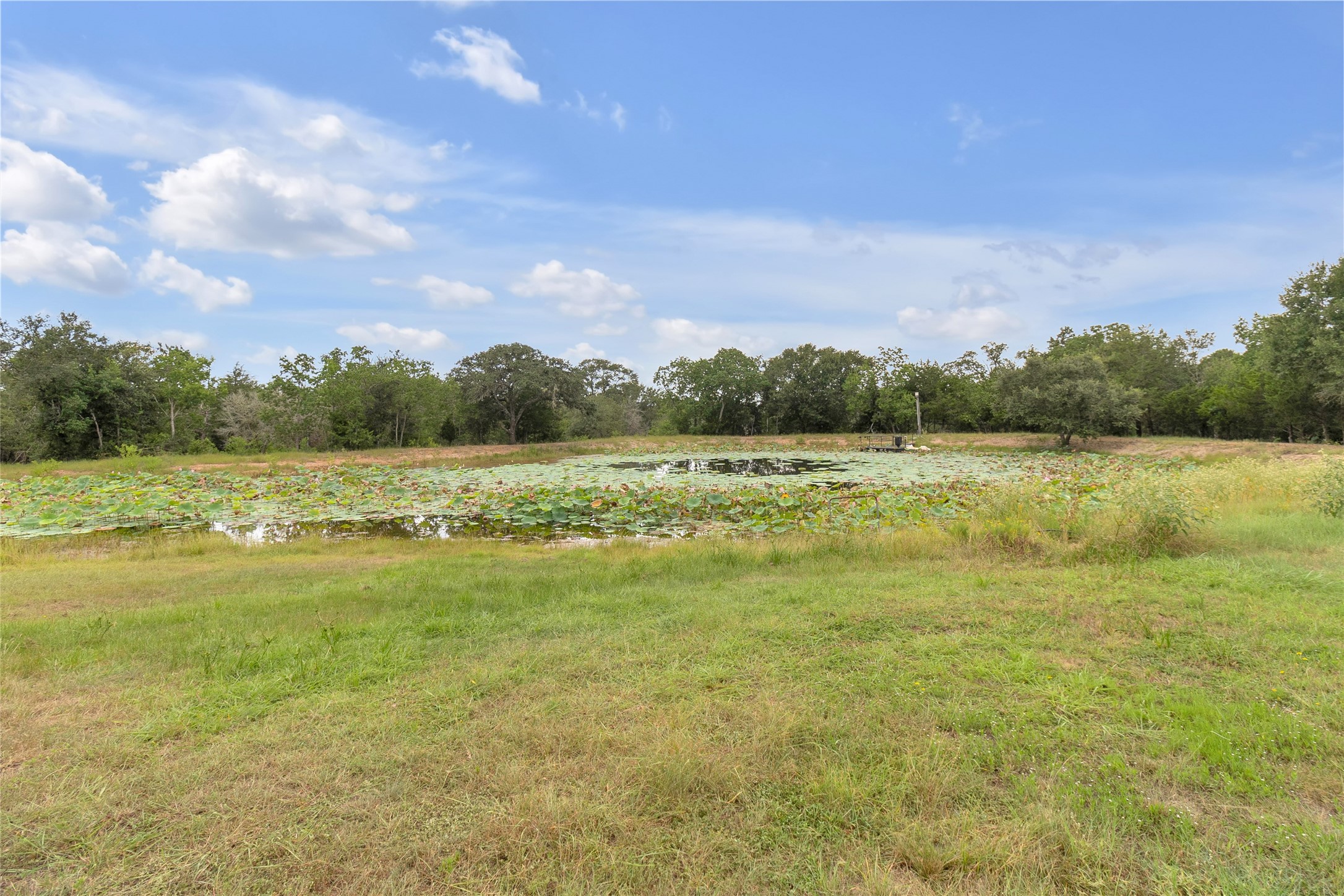 2396 Fm 109 Property Photo 15