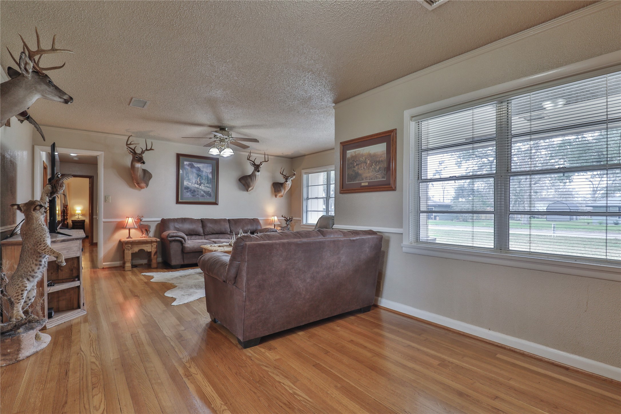 607 Magnolia Street Property Photo 6
