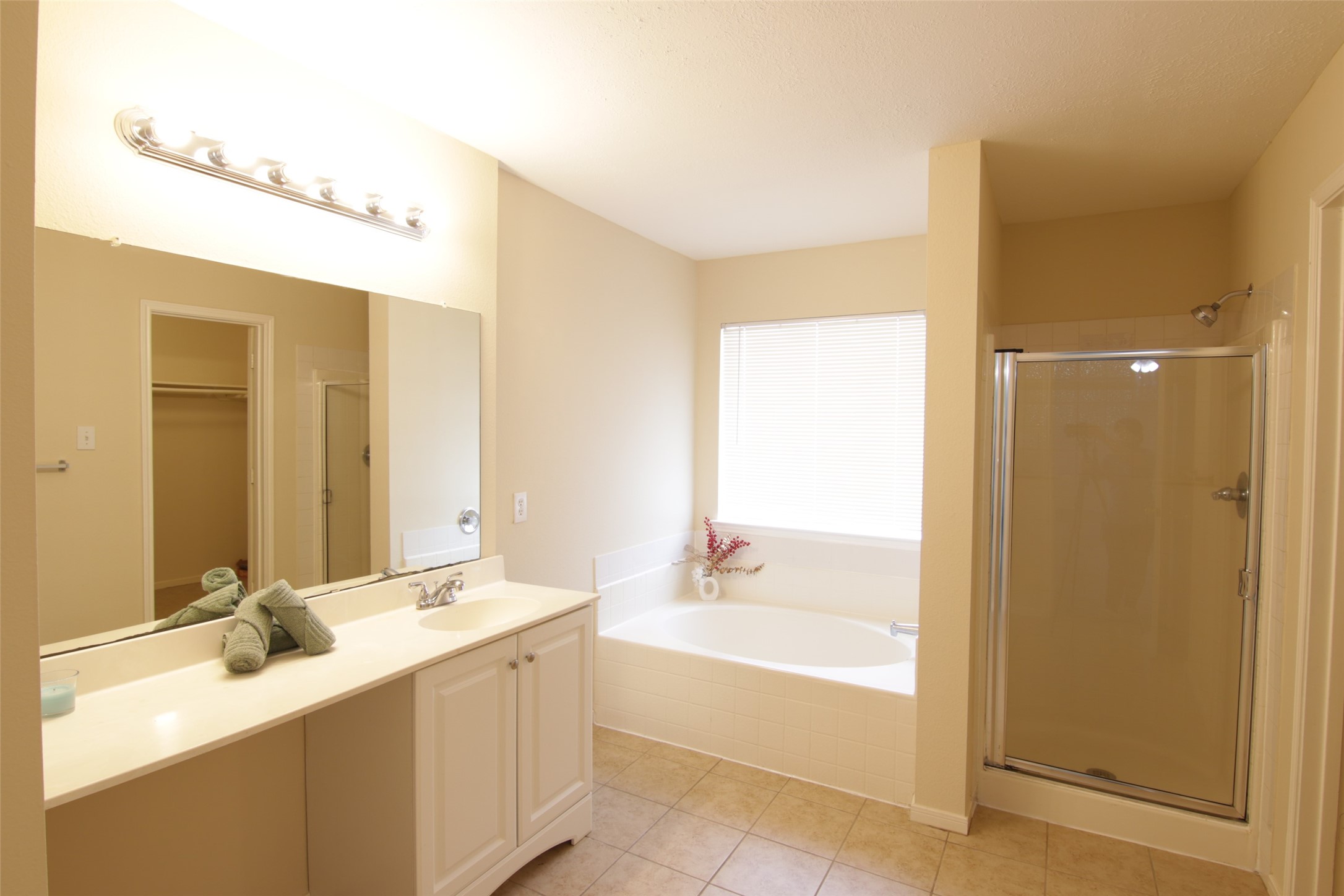 16938 Watering Oaks Lane Property Photo 14