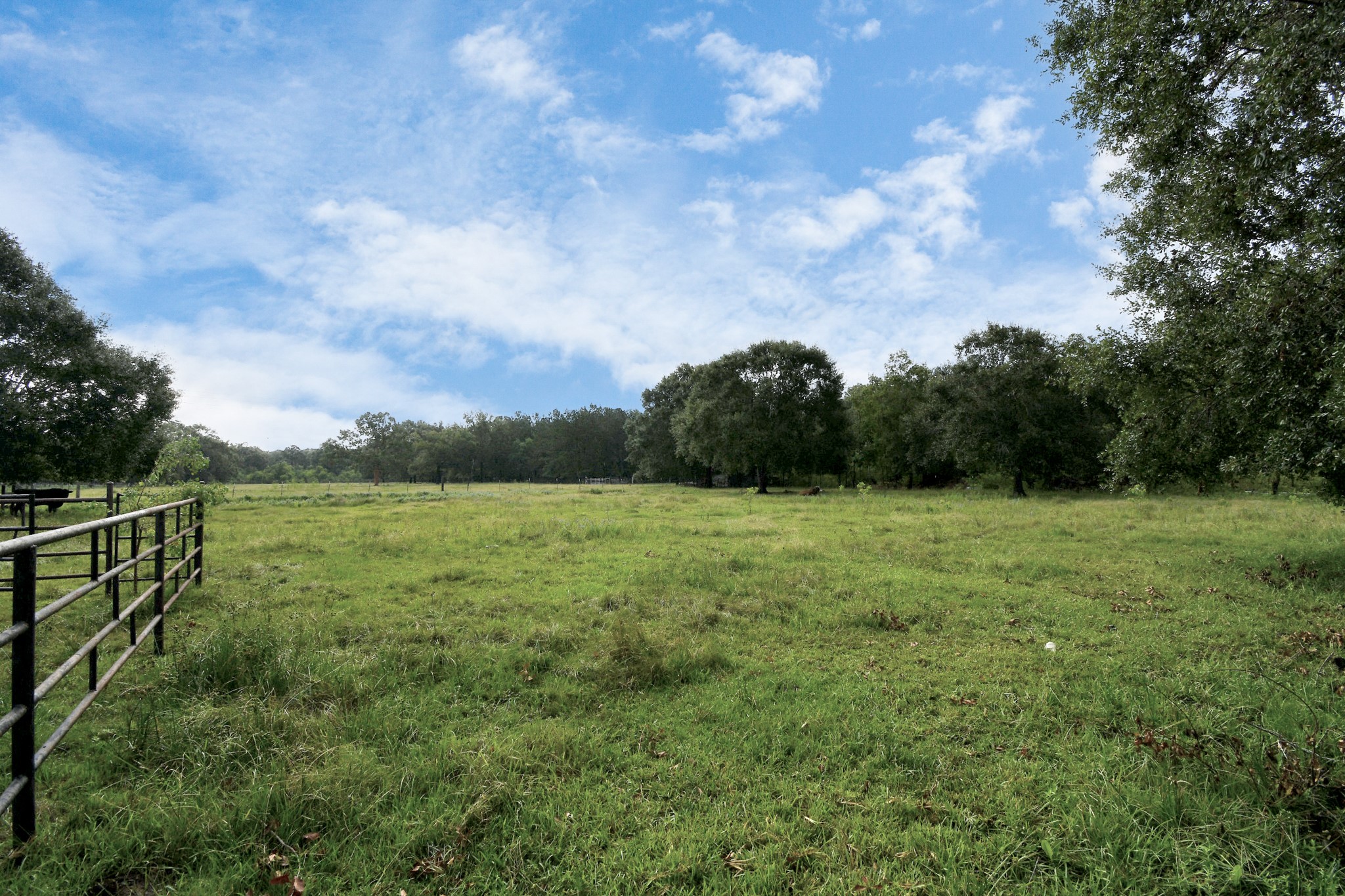 314 County Road 6881 N Property Photo 33