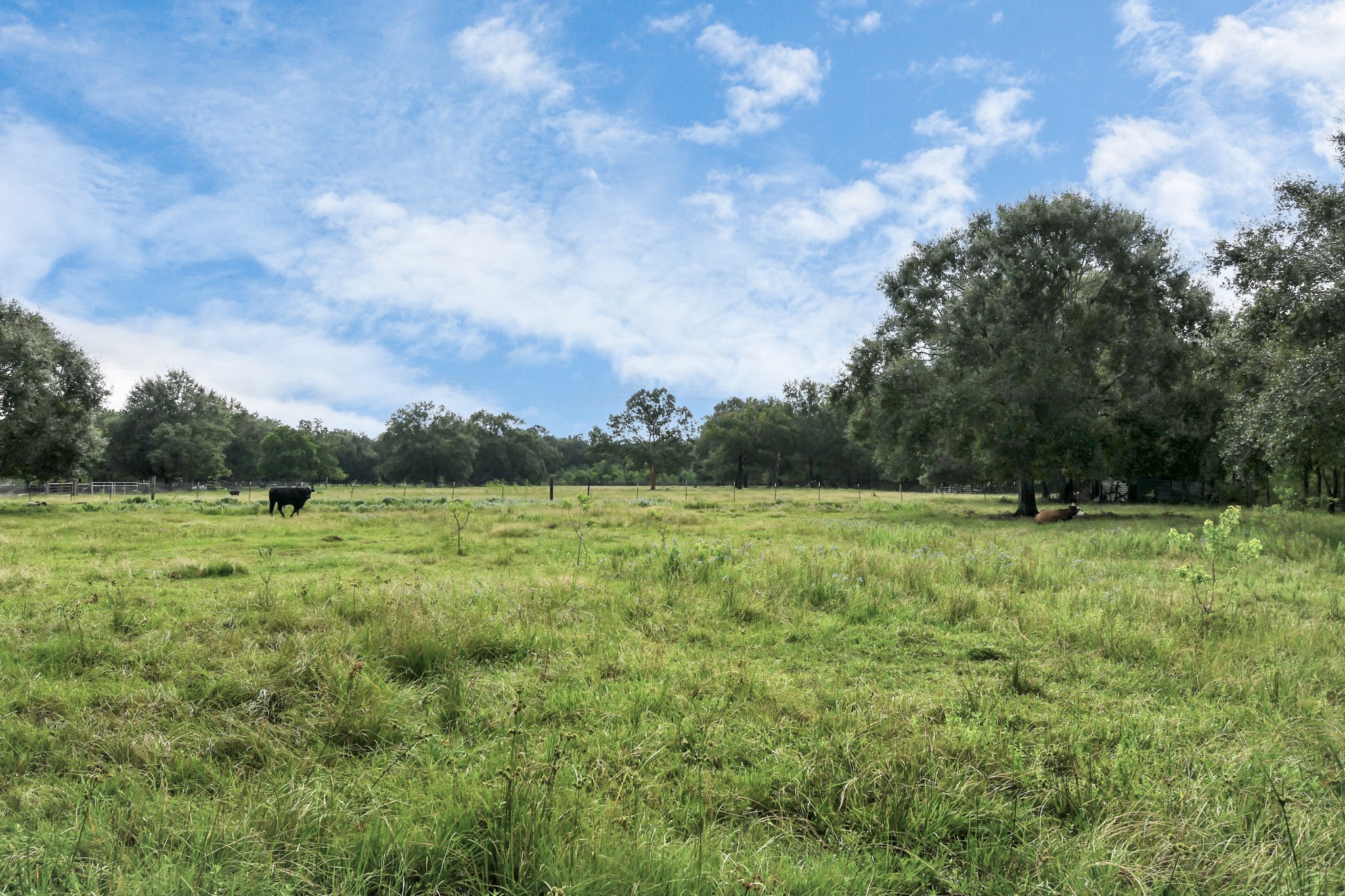 314 County Road 6881 N Property Photo 34