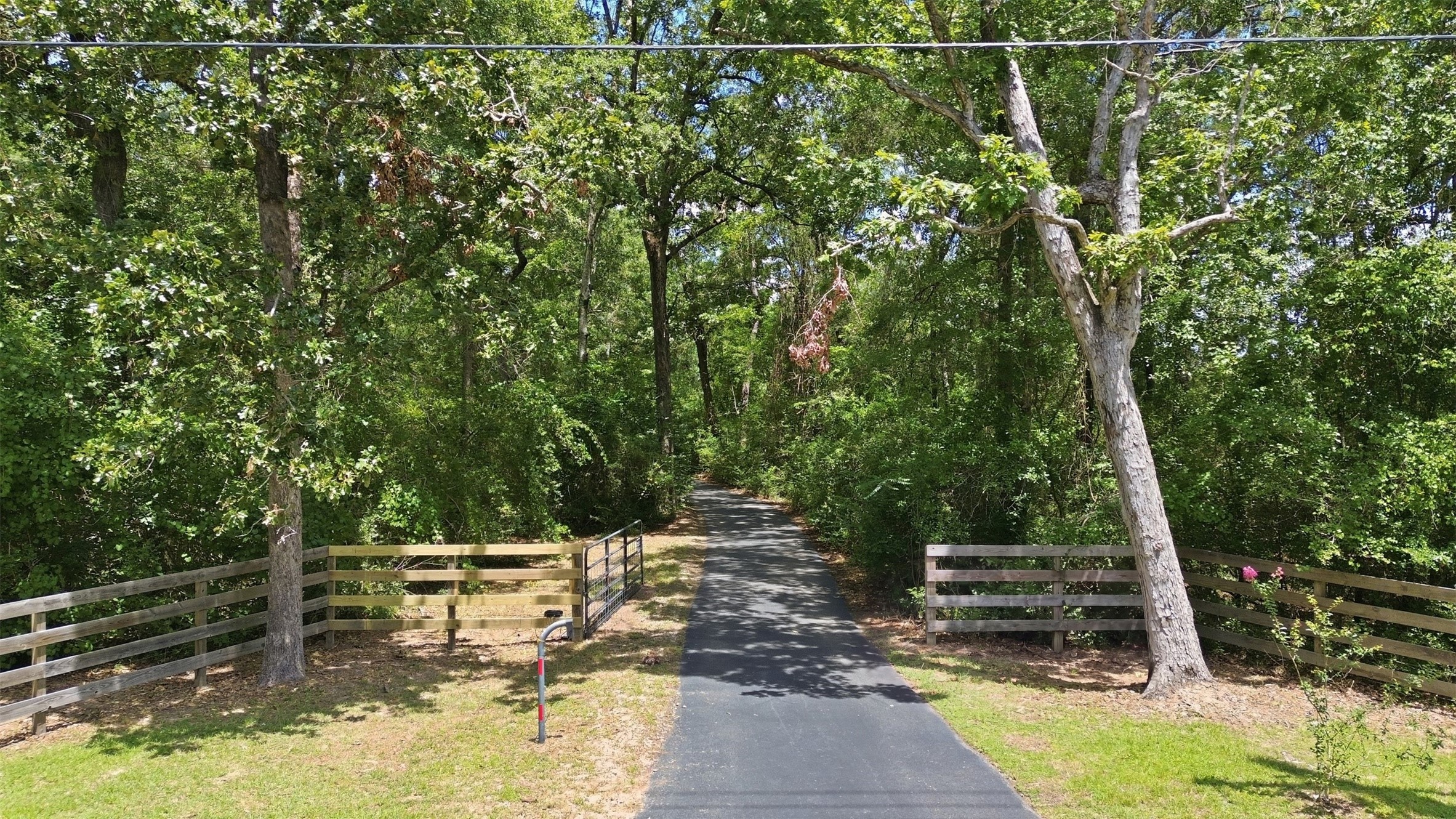 10695 White Rock Road Property Photo 42
