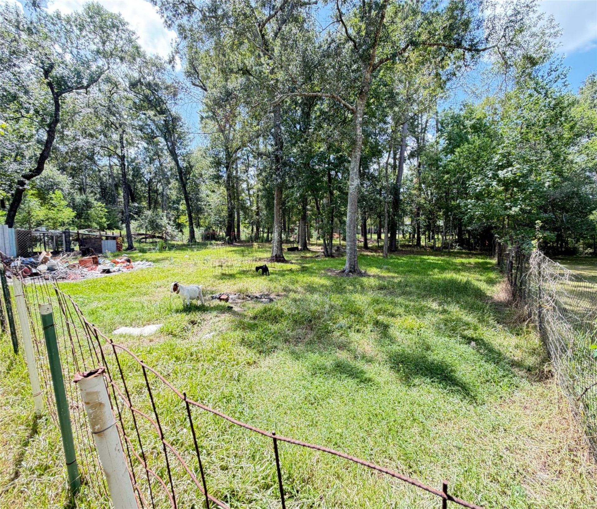 30011 Black Cherry Street Property Photo 26