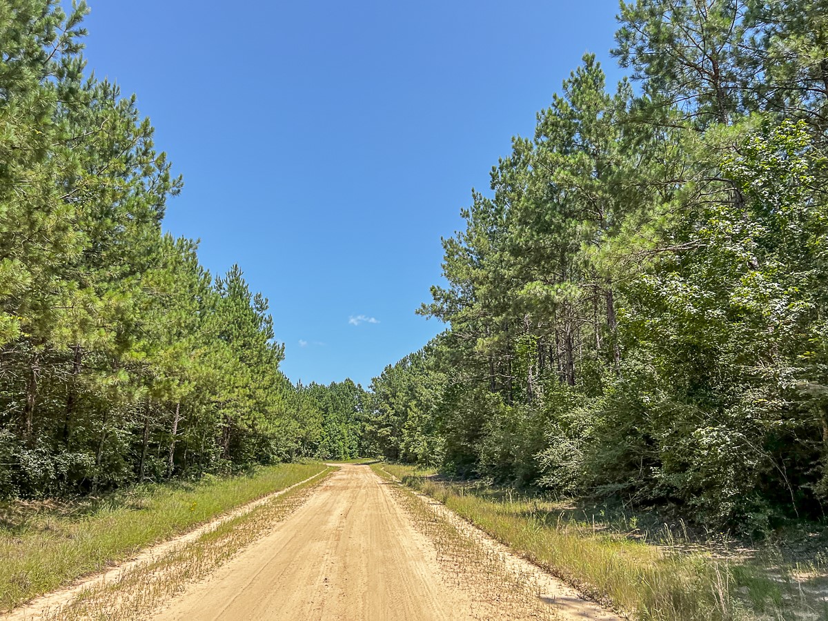 0000 Cr 367 Property Photo 5