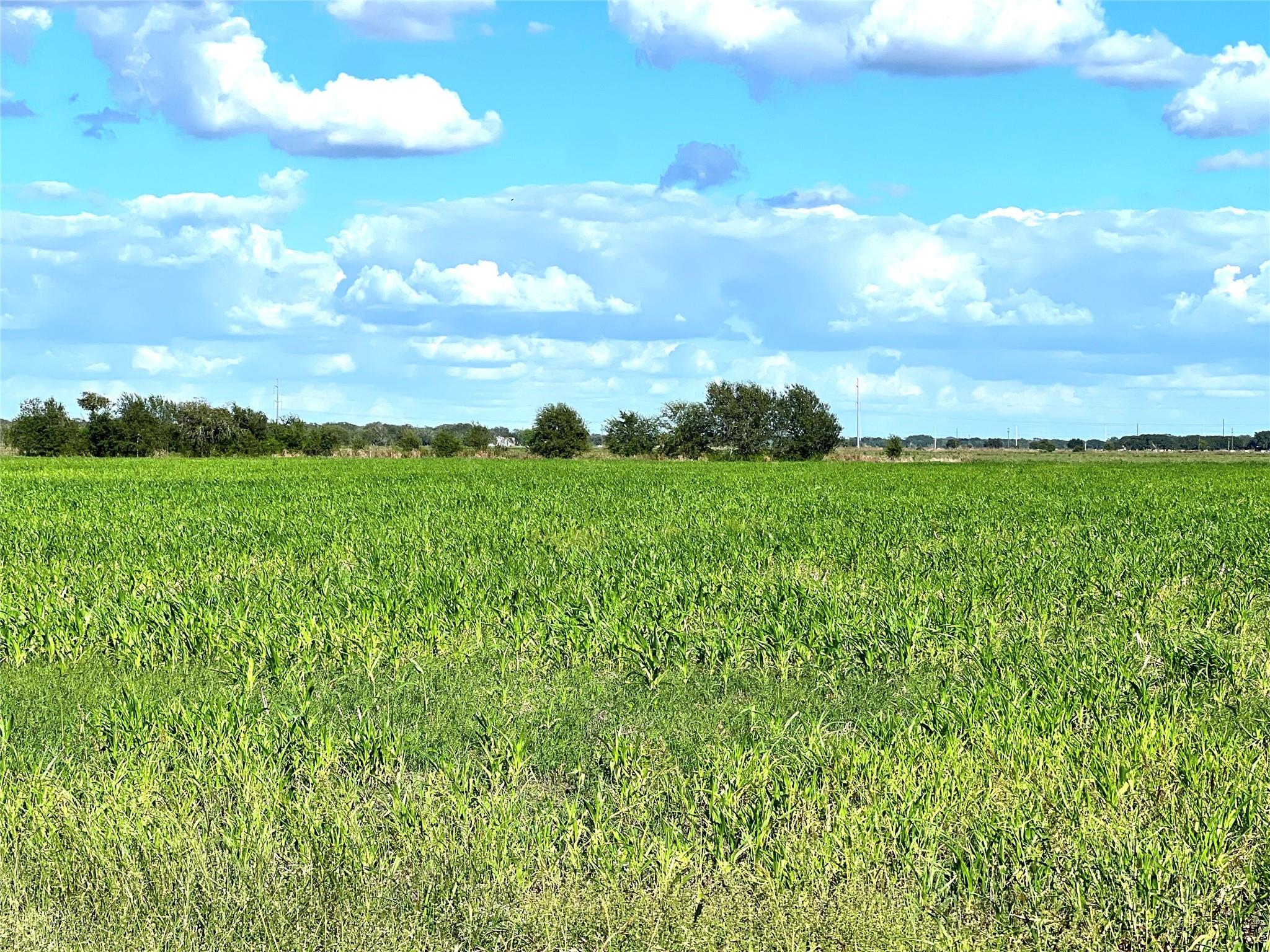 0 Fm 441 North, El Campo Tx 77437 Property Photo 1