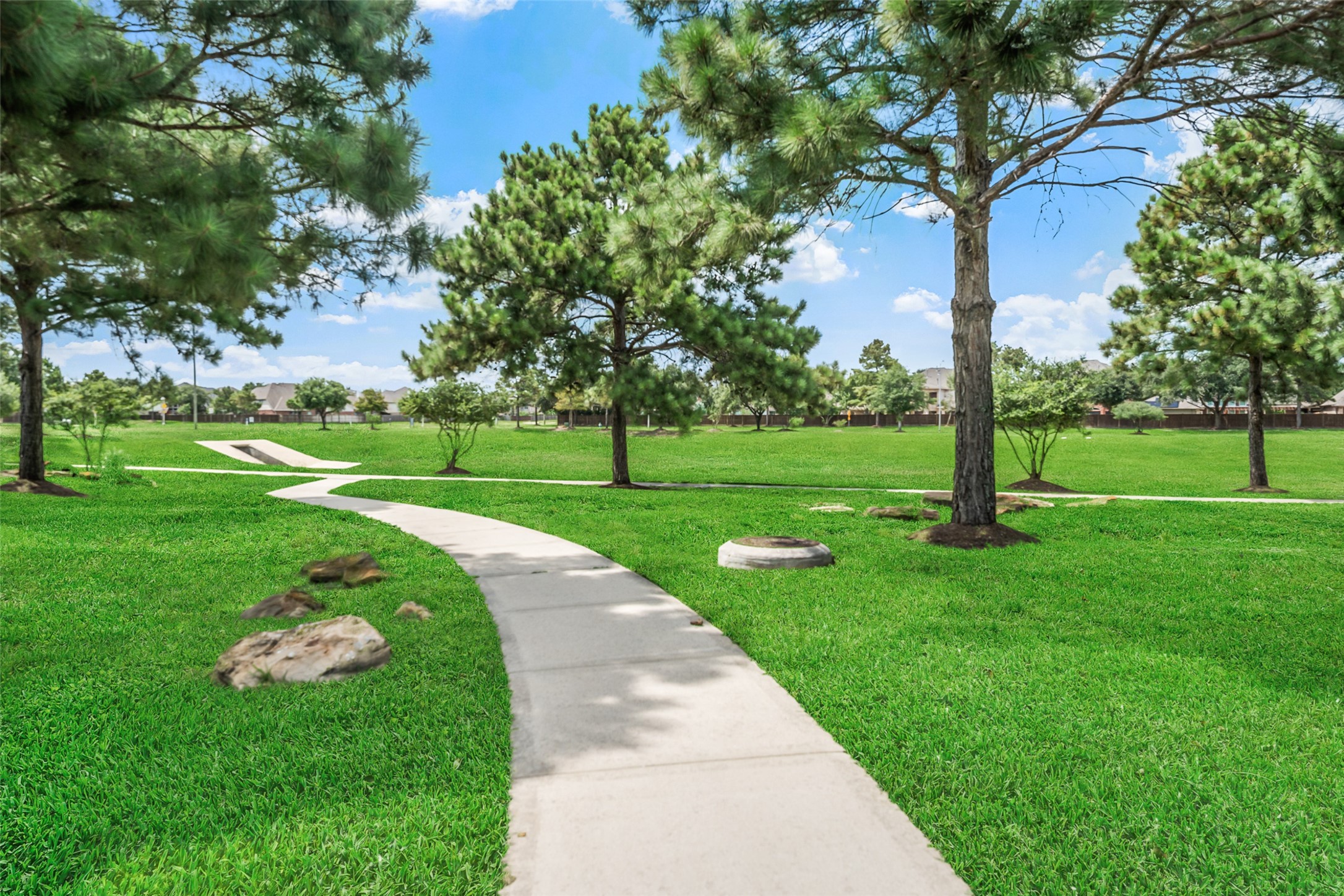 26643 Juniper Forest Fall Lane Property Photo 29
