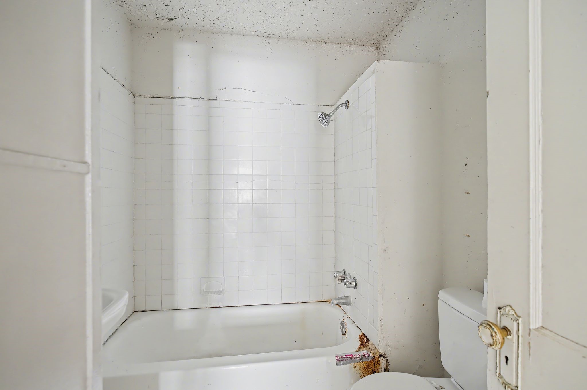 1218 Genova Street Property Photo 14