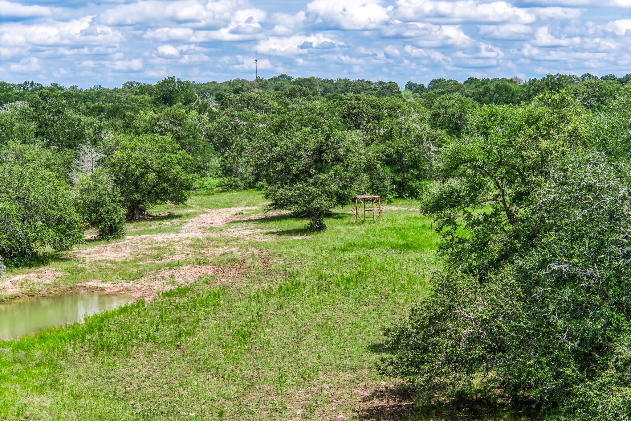 Tbd(+/-237.91 Ac) Hwy 36 S Property Photo 4