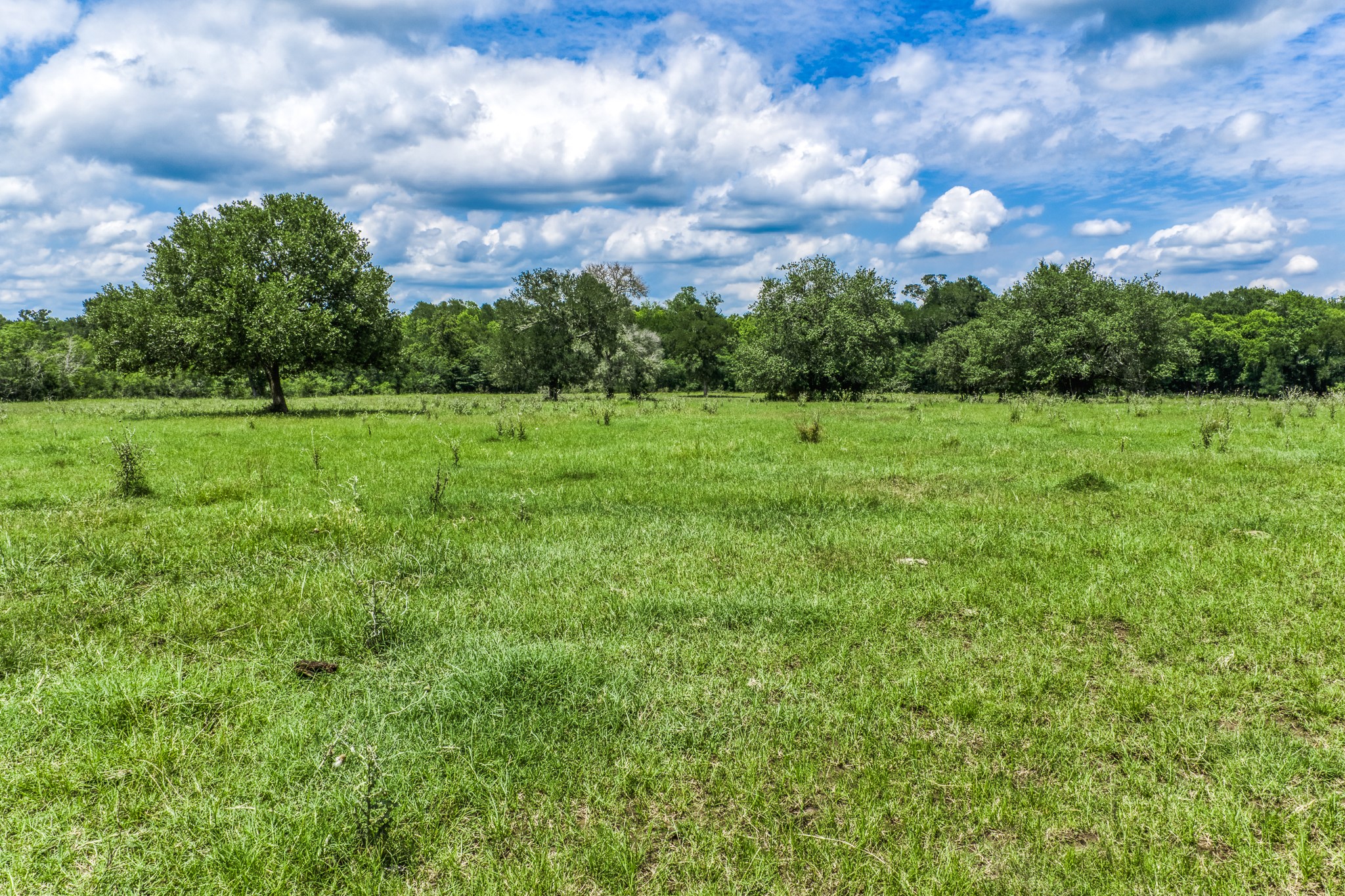 Tbd(+/-237.91 Ac) Hwy 36 S Property Photo 9