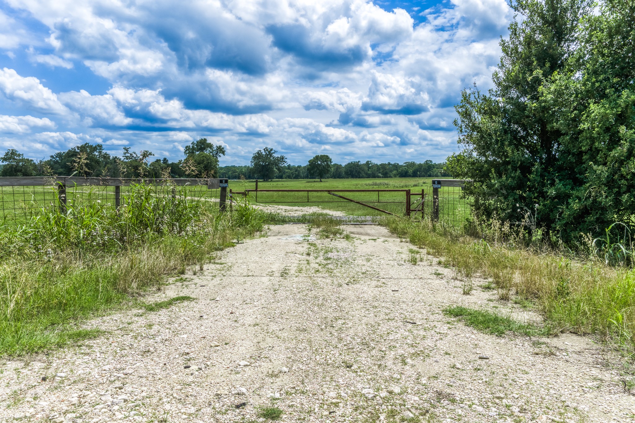 Tbd(+/-237.91 Ac) Hwy 36 S Property Photo 15