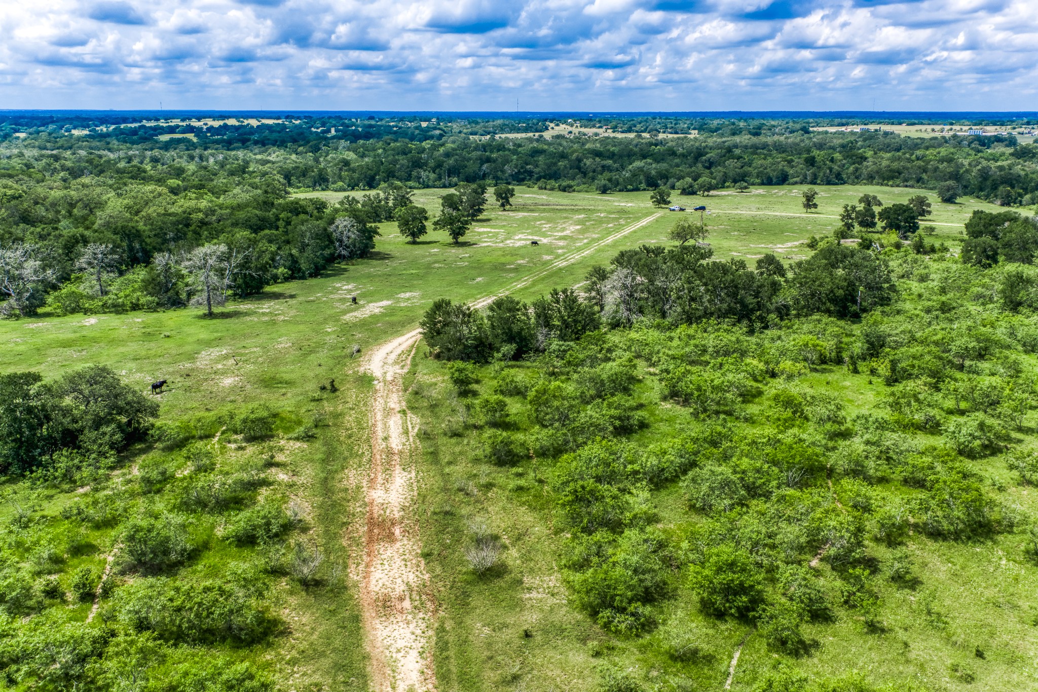 Tbd(+/-237.91 Ac) Hwy 36 S Property Photo 18