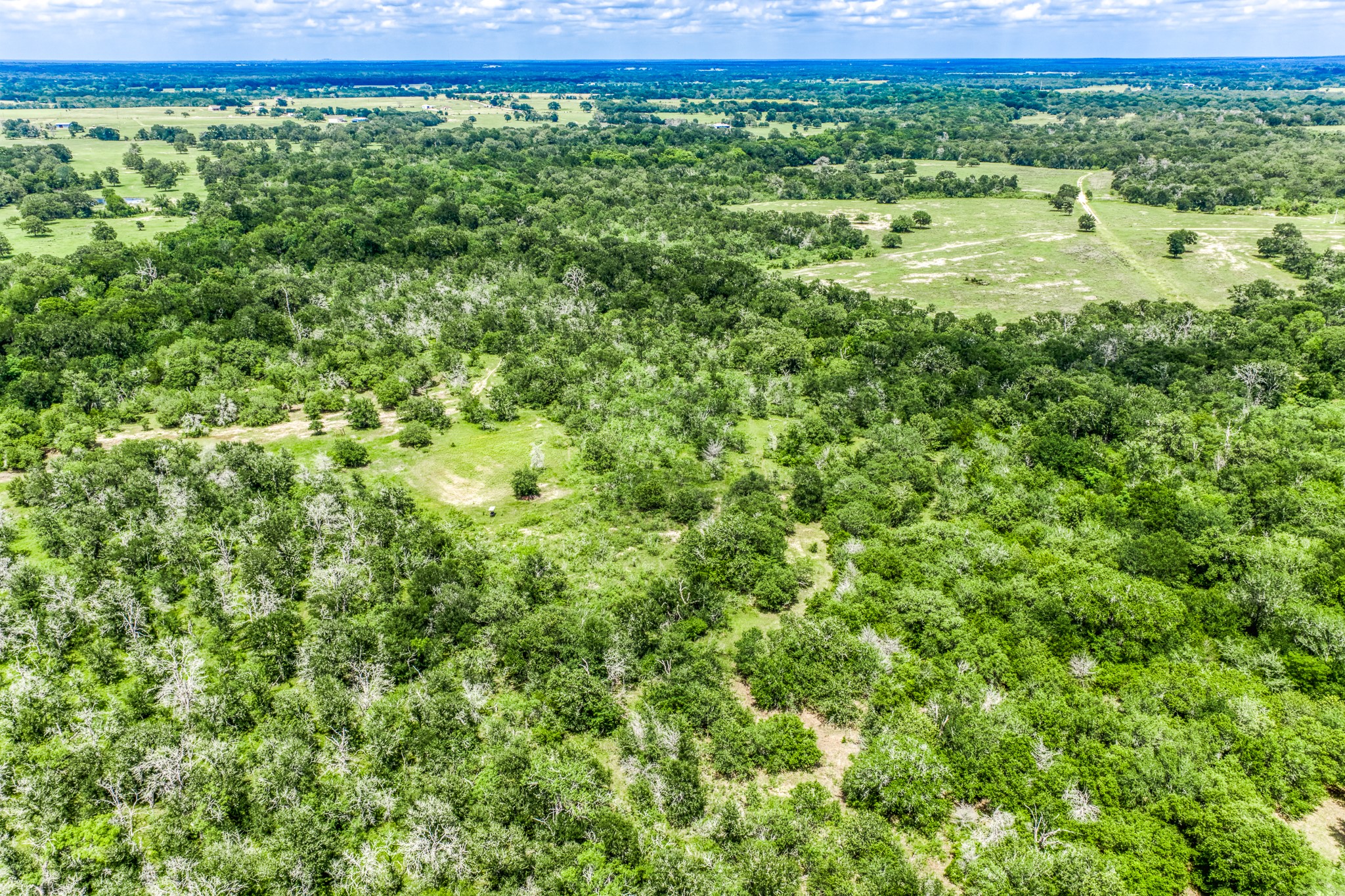 Tbd(+/-237.91 Ac) Hwy 36 S Property Photo 19