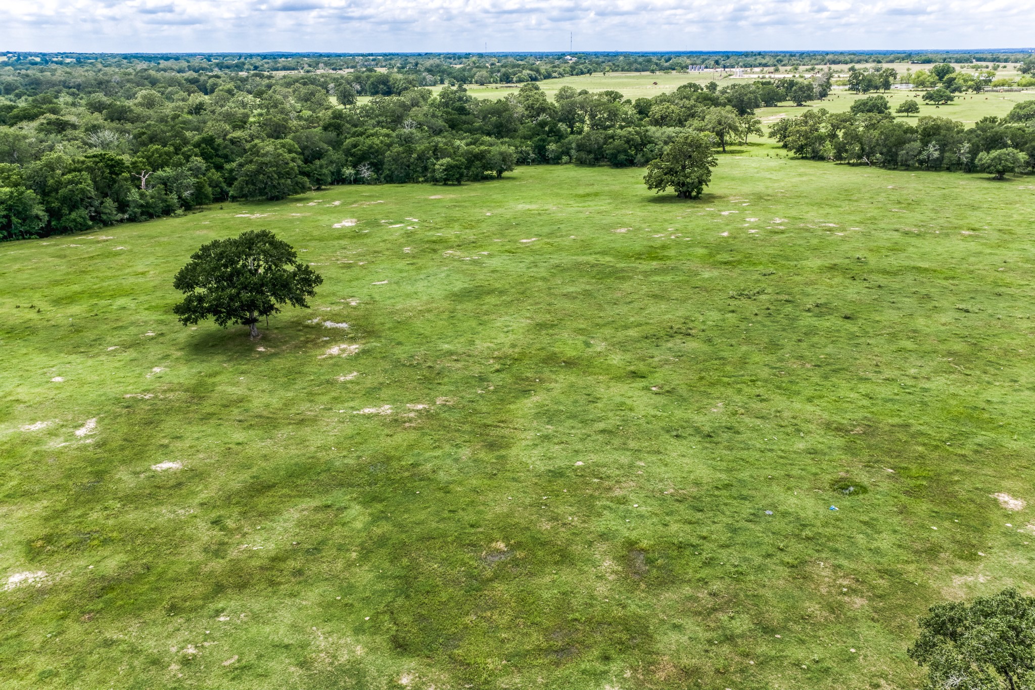 Tbd(+/-237.91 Ac) Hwy 36 S Property Photo 22