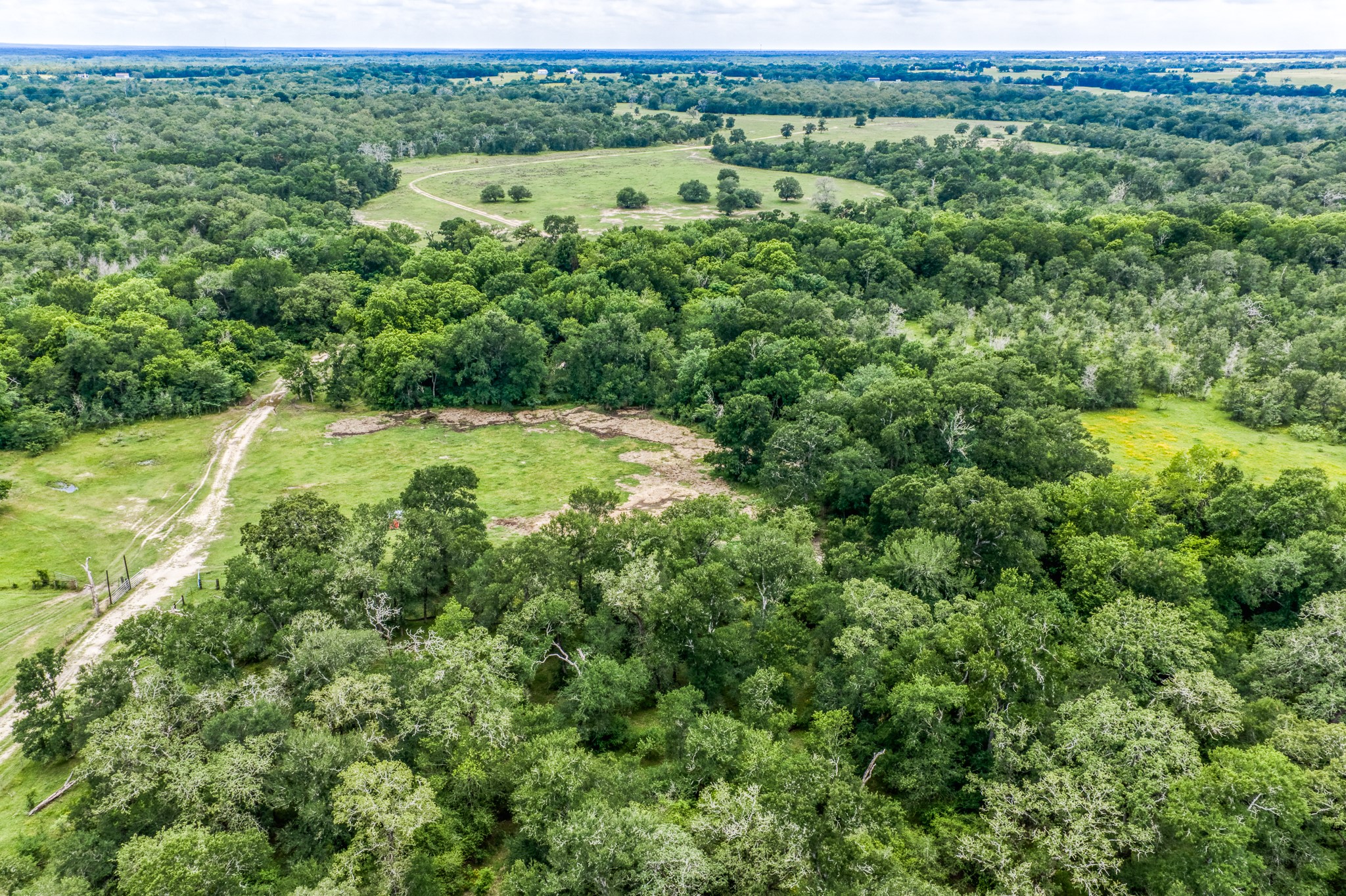Tbd(+/-237.91 Ac) Hwy 36 S Property Photo 23
