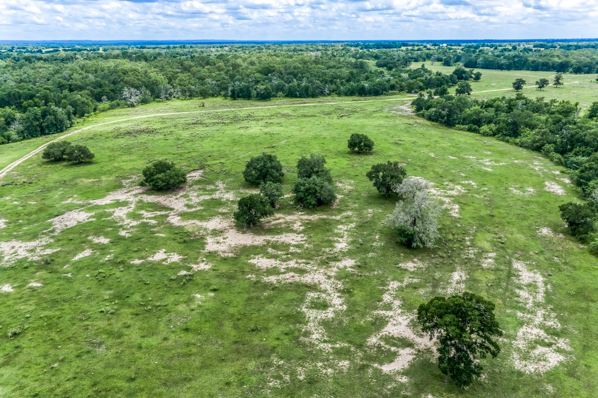 Tbd(+/-237.91 Ac) Hwy 36 S Property Photo 25