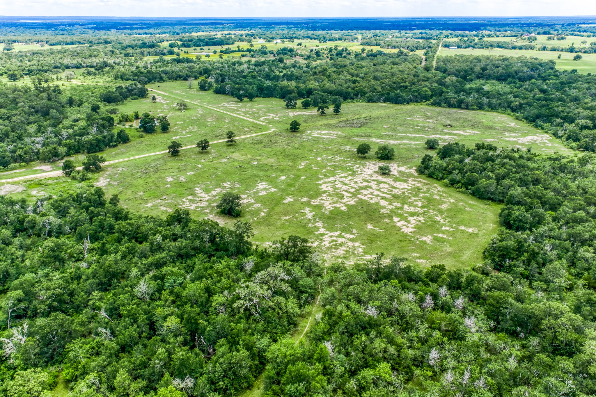 Tbd(+/-237.91 Ac) Hwy 36 S Property Photo 26