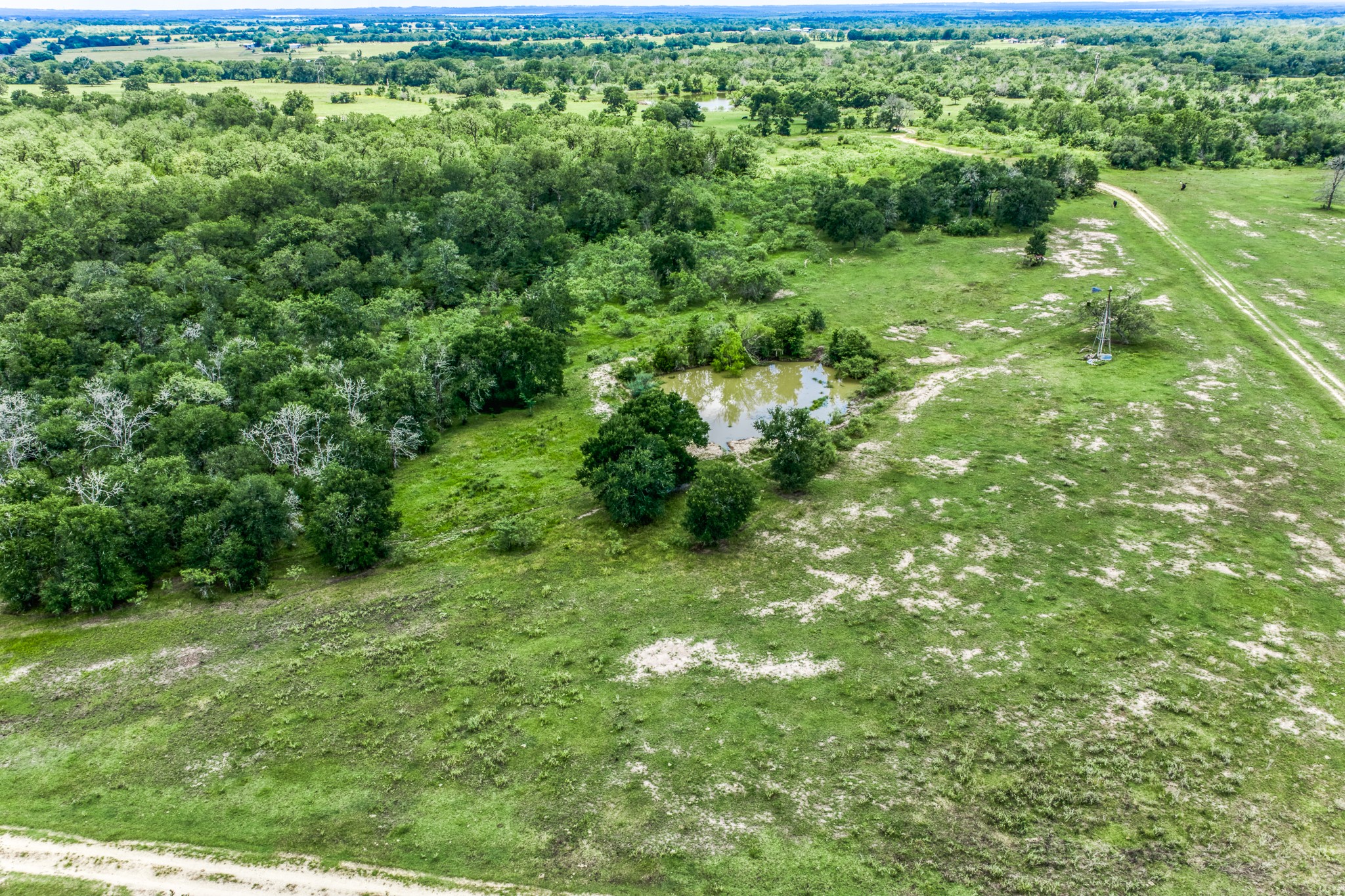 Tbd(+/-237.91 Ac) Hwy 36 S Property Photo 27