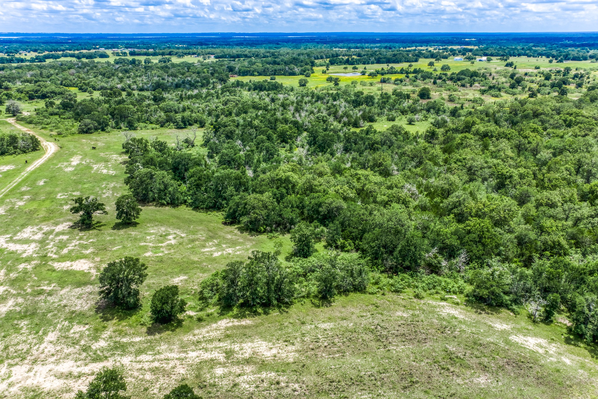 Tbd(+/-237.91 Ac) Hwy 36 S Property Photo 31