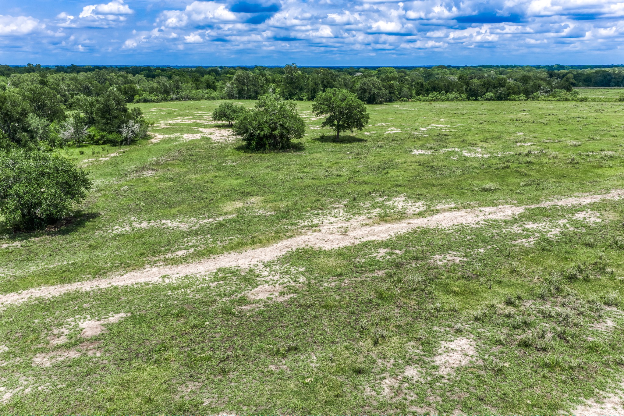 Tbd(+/-237.91 Ac) Hwy 36 S Property Photo 34