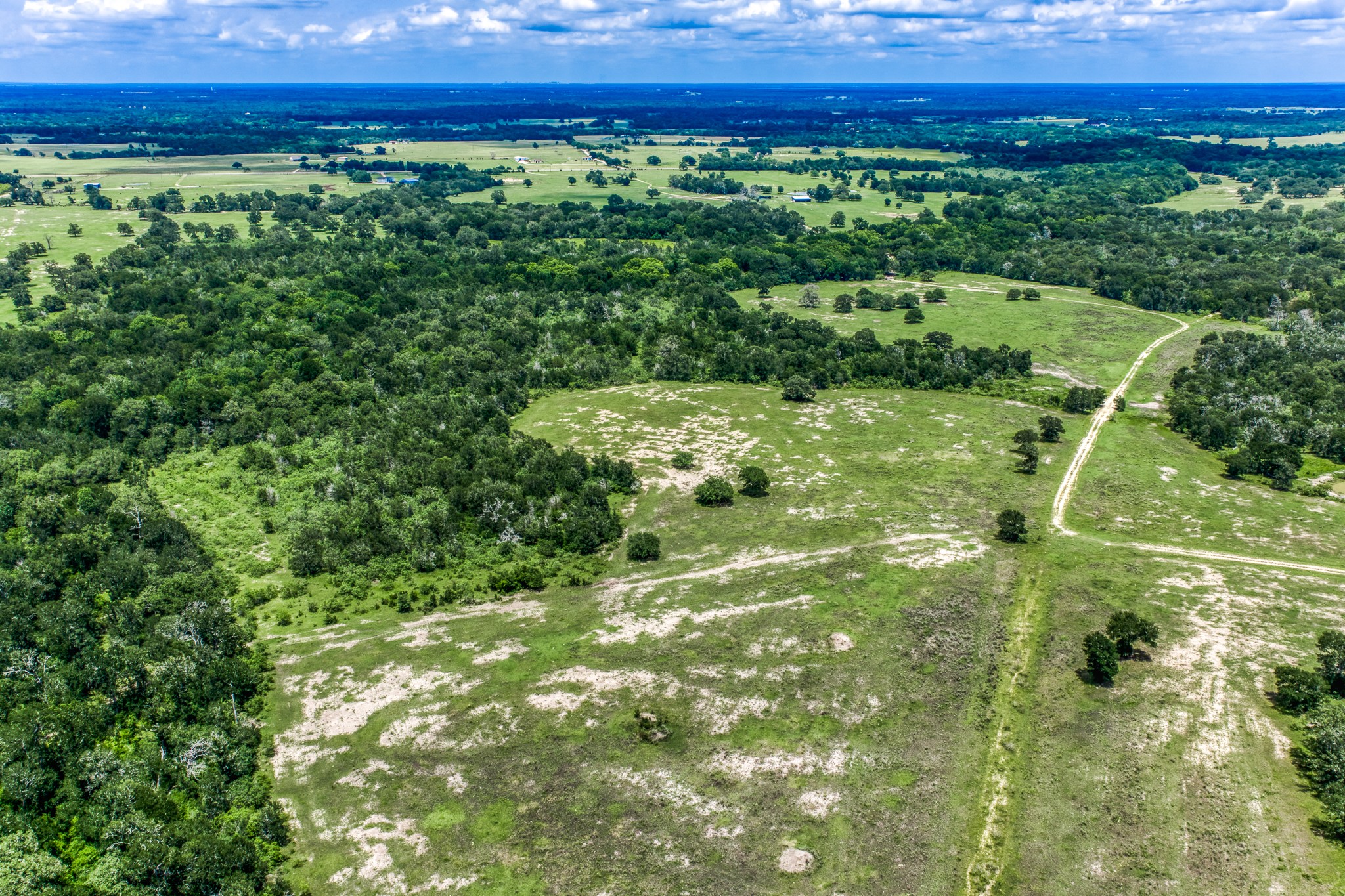 Tbd(+/-237.91 Ac) Hwy 36 S Property Photo 37