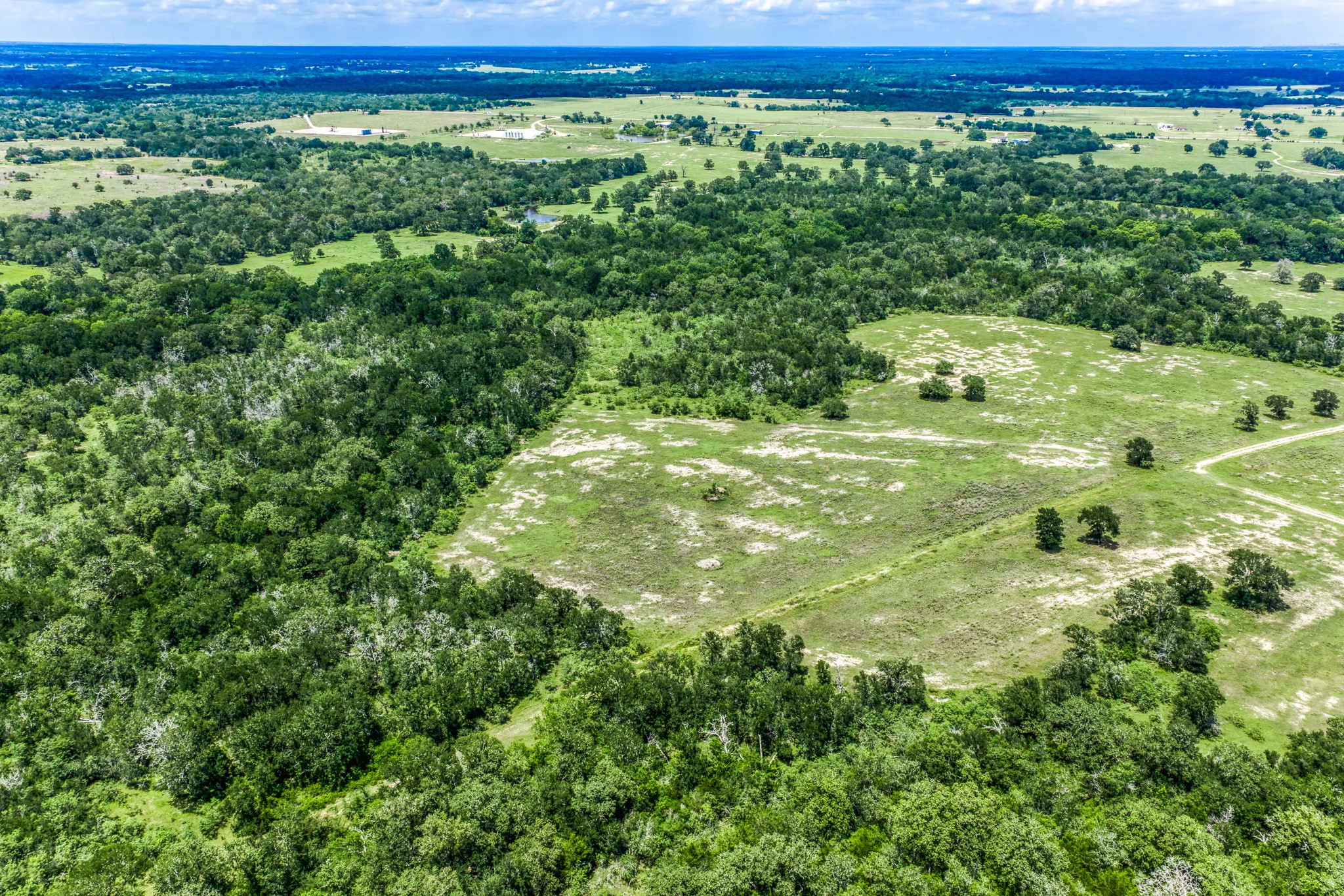 Tbd(+/-237.91 Ac) Hwy 36 S Property Photo 38