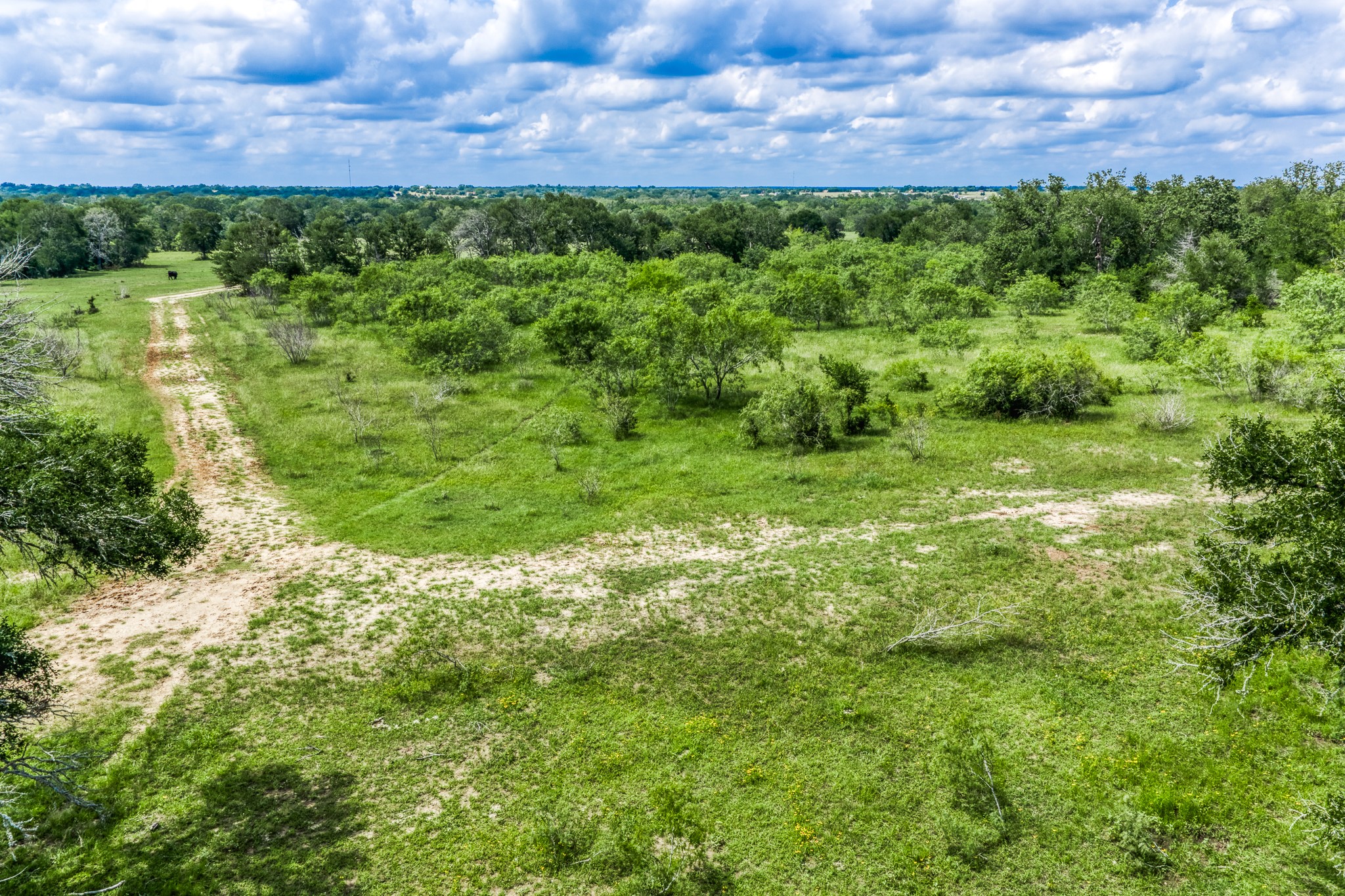 Tbd(+/-237.91 Ac) Hwy 36 S Property Photo 46