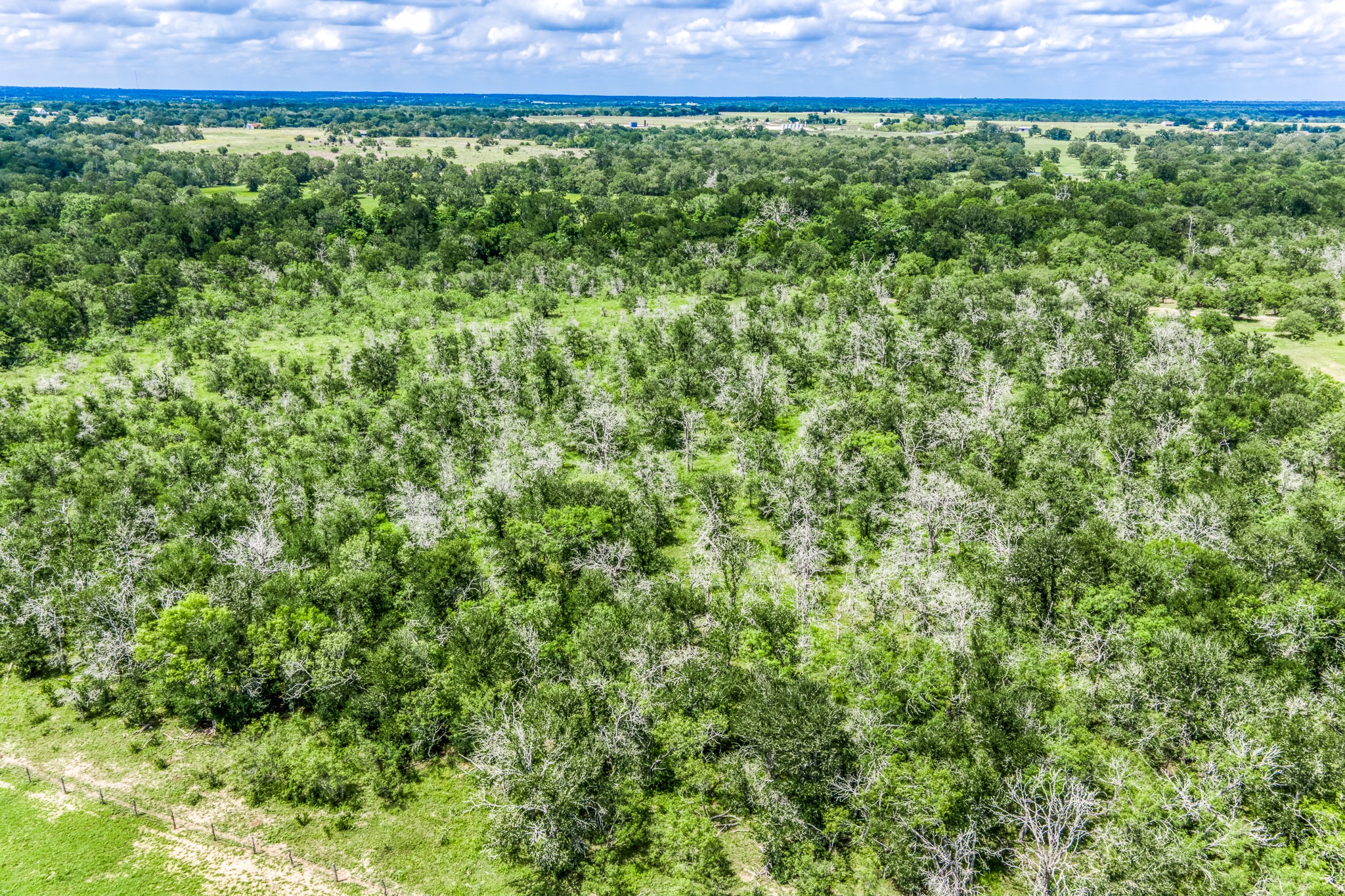 Tbd(+/-237.91 Ac) Hwy 36 S Property Photo 49
