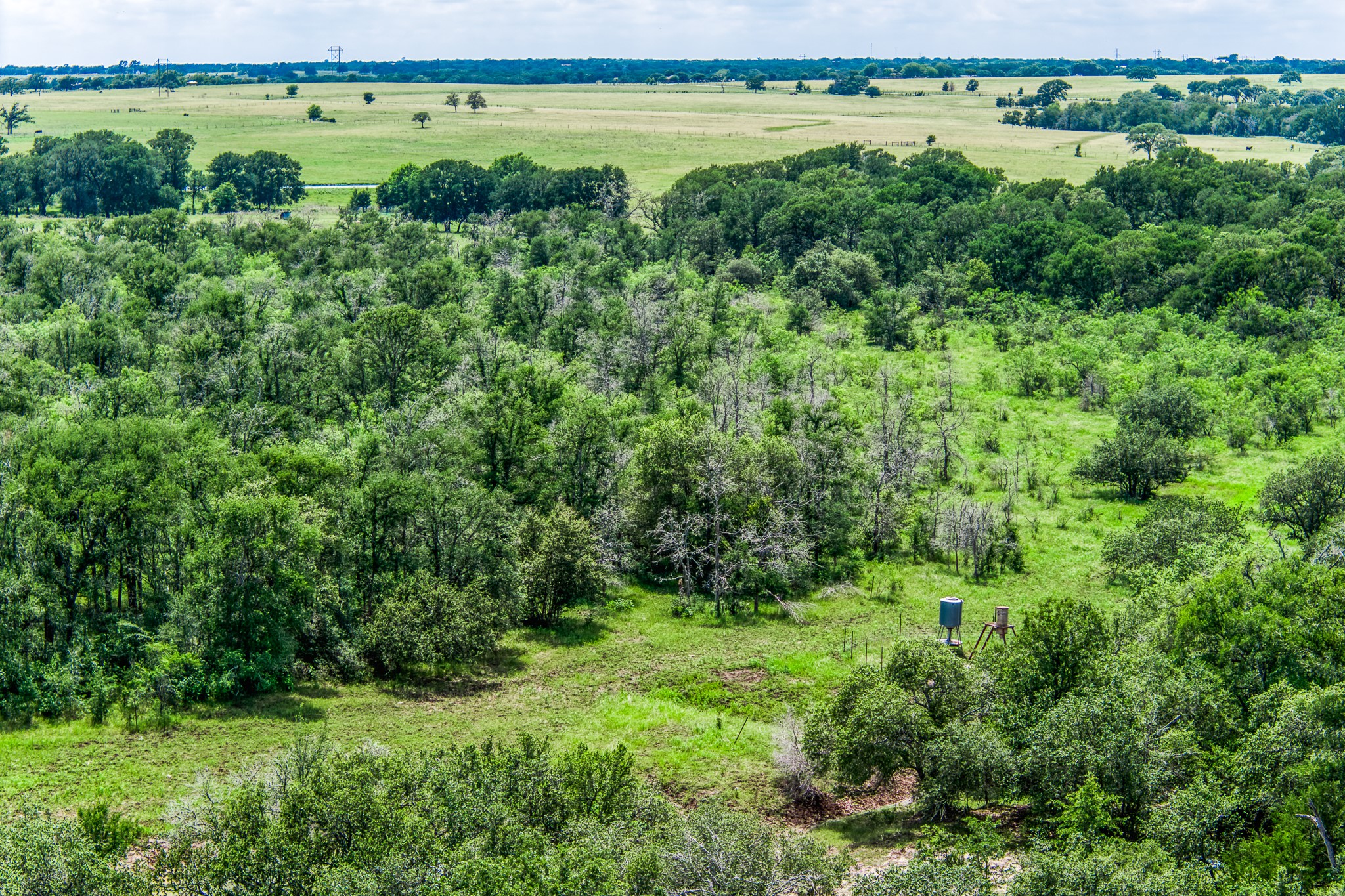 Tbd(+/-237.91 Ac) Hwy 36 S Property Photo 50