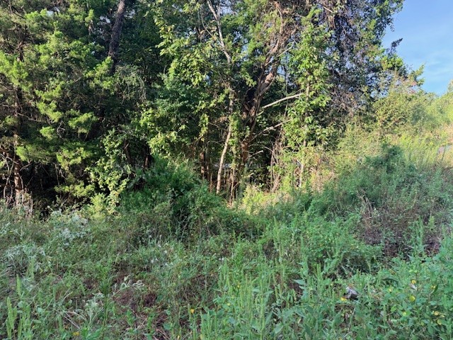 Tbd River Dr Property Photo 3