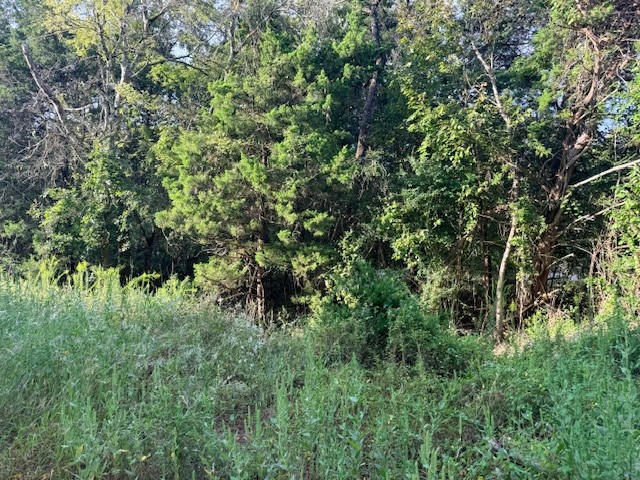 Tbd River Dr Property Photo 4