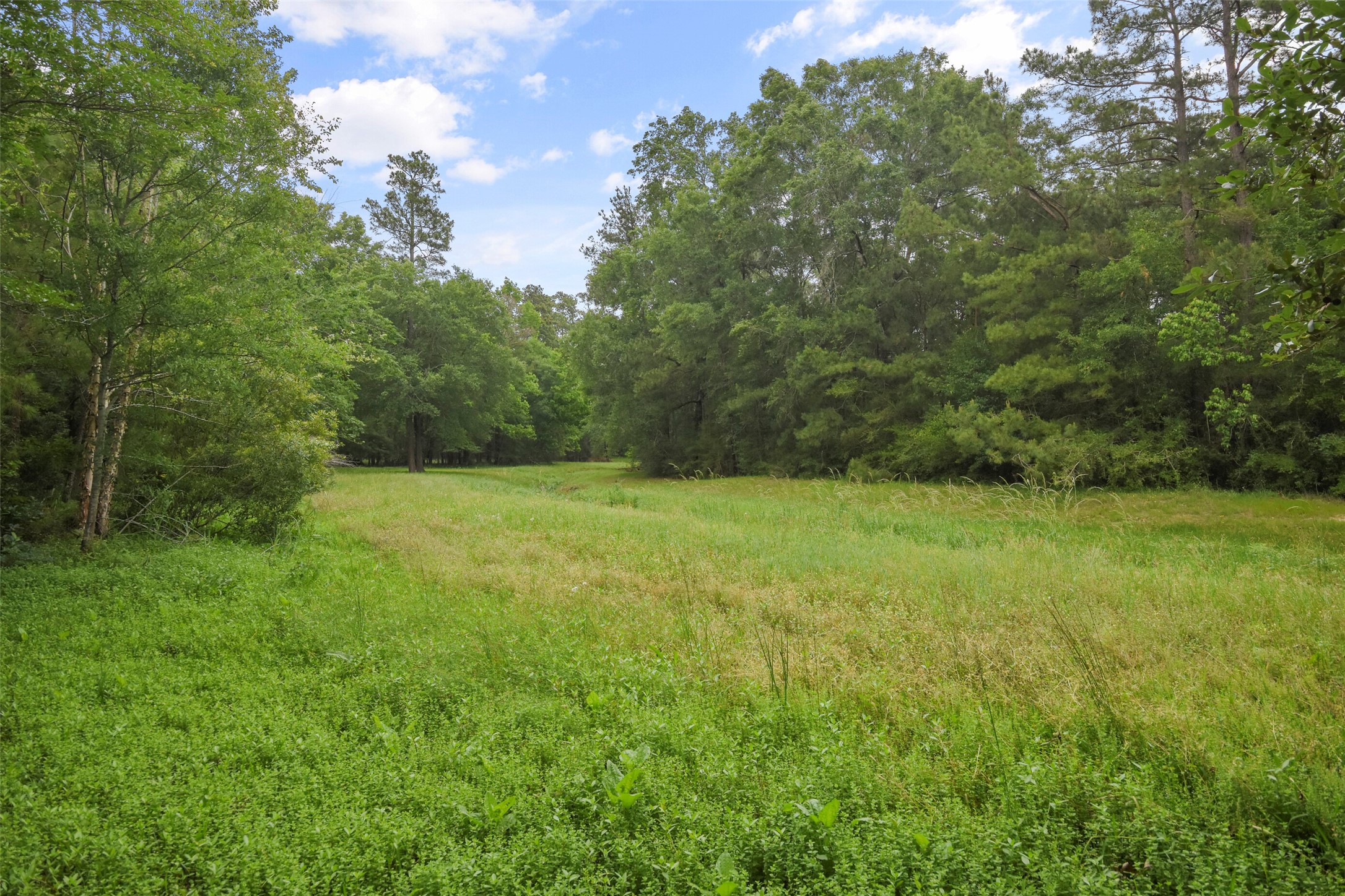 18 Pinery Ridge Place Property Photo 38