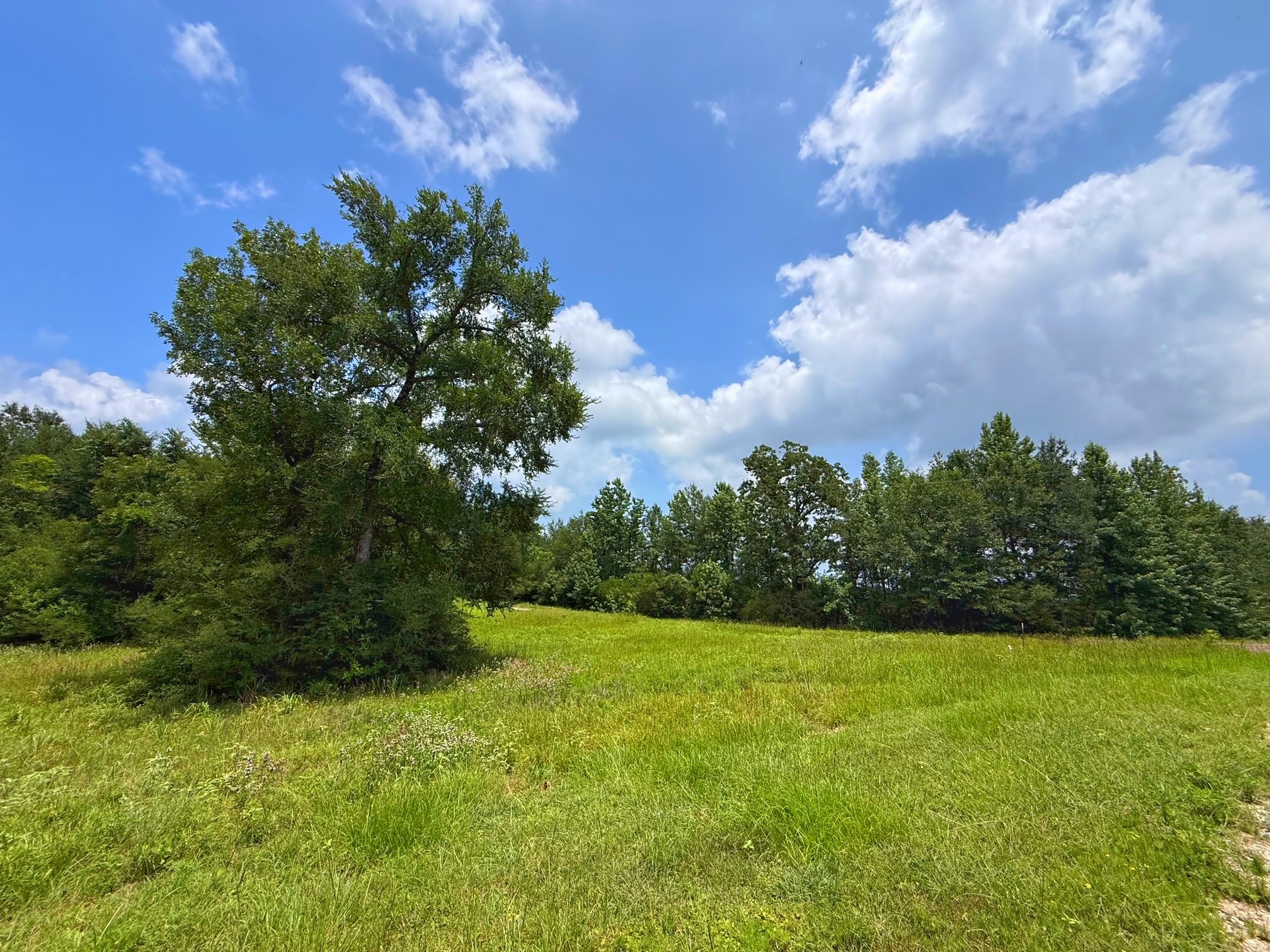 Tbd Cr 2012 Property Photo 3