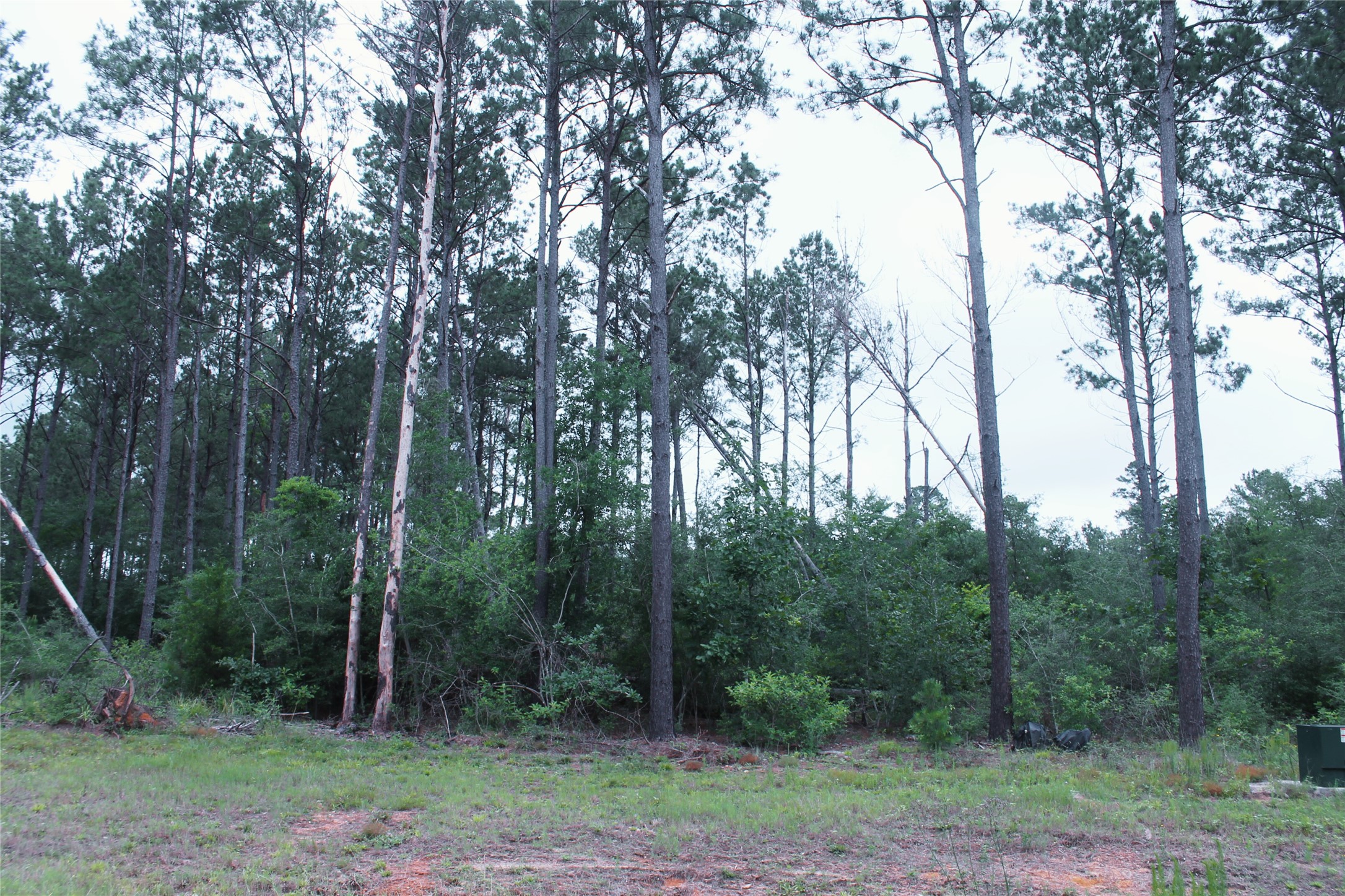 15392 Forest Grove Drive Property Photo 3