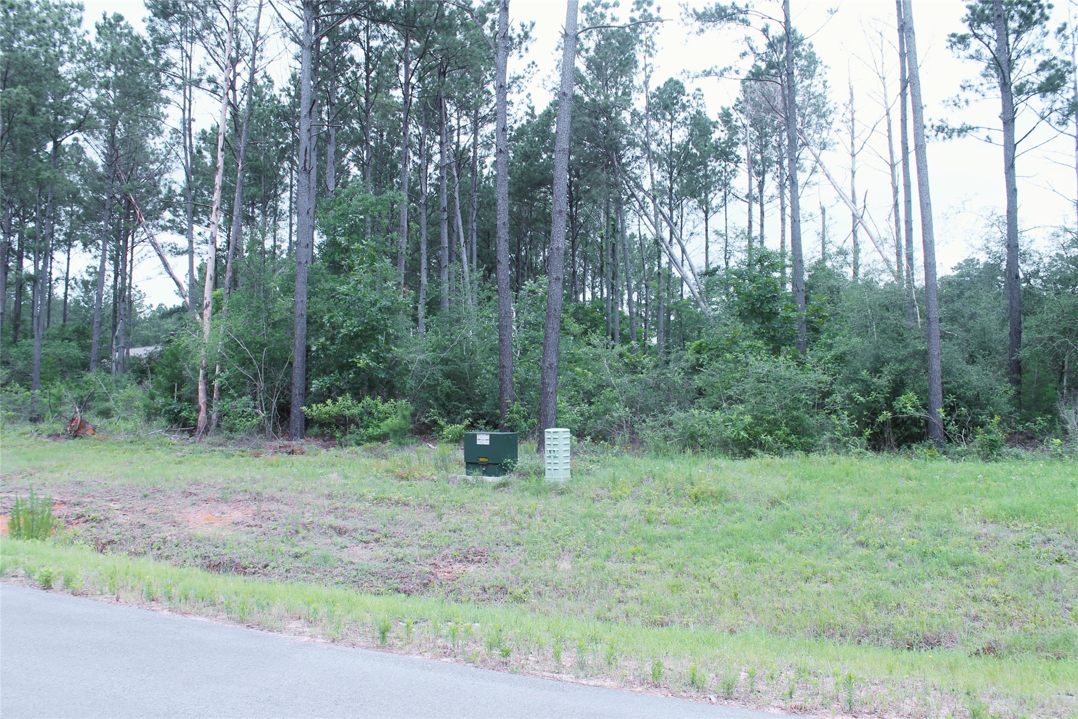 15392 Forest Grove Drive Property Photo 4