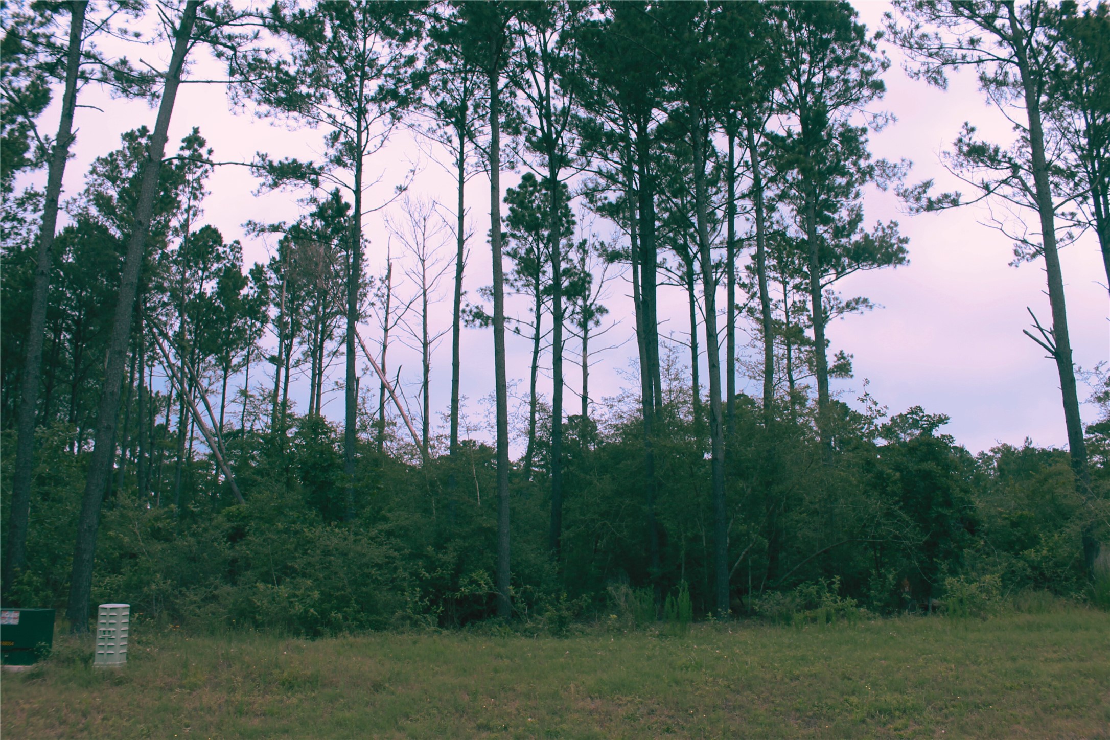 15392 Forest Grove Drive Property Photo 6