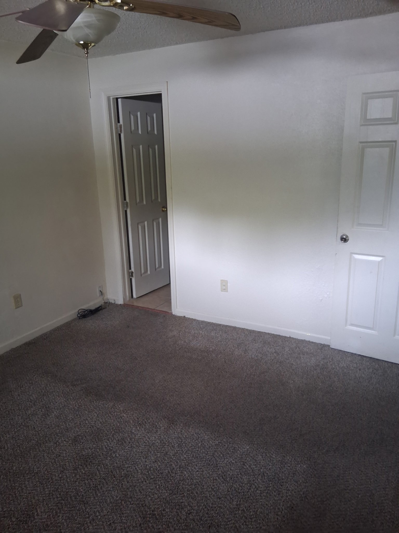 838 Mansfield Street Property Photo 4
