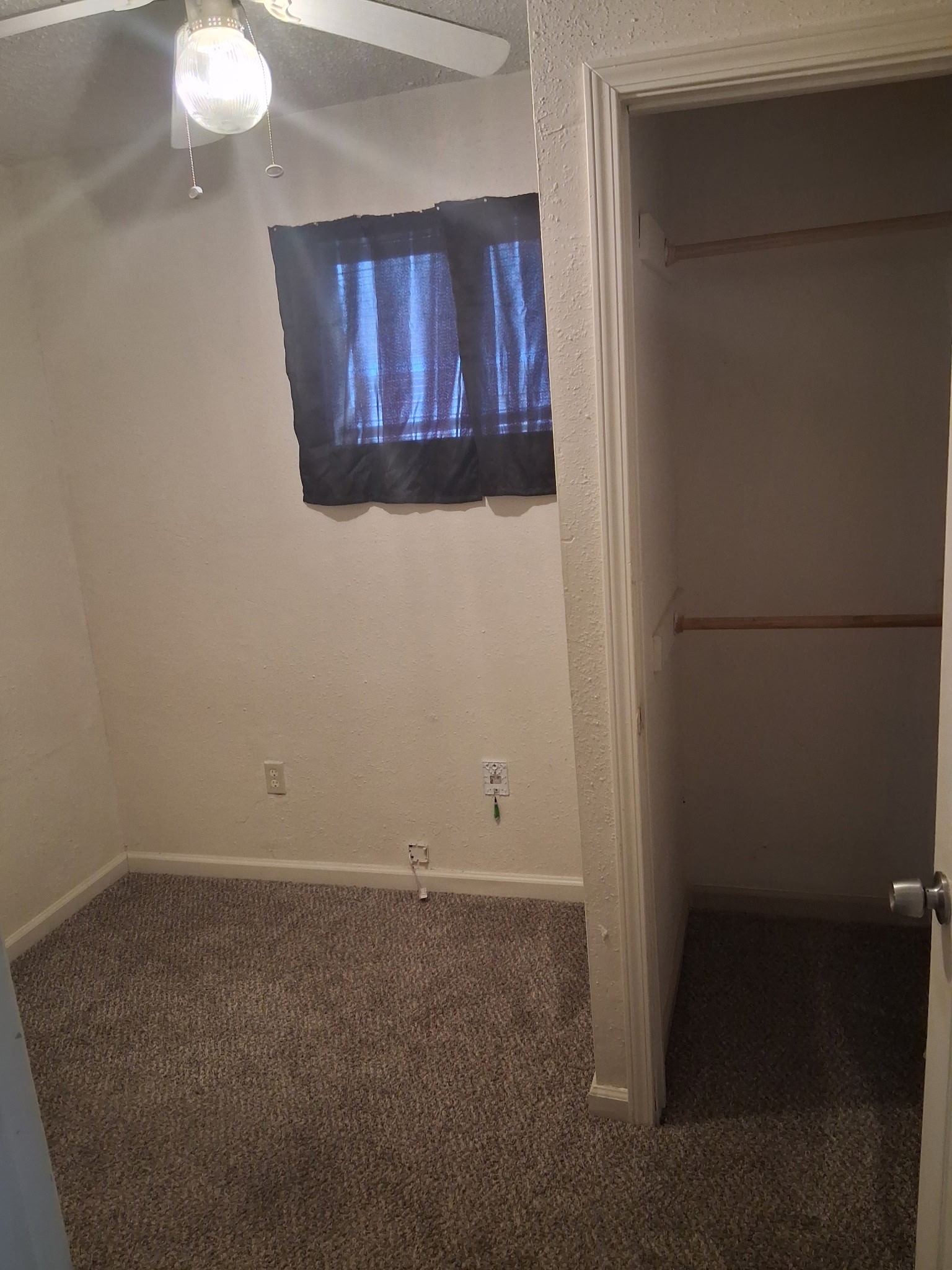 838 Mansfield Street Property Photo 5