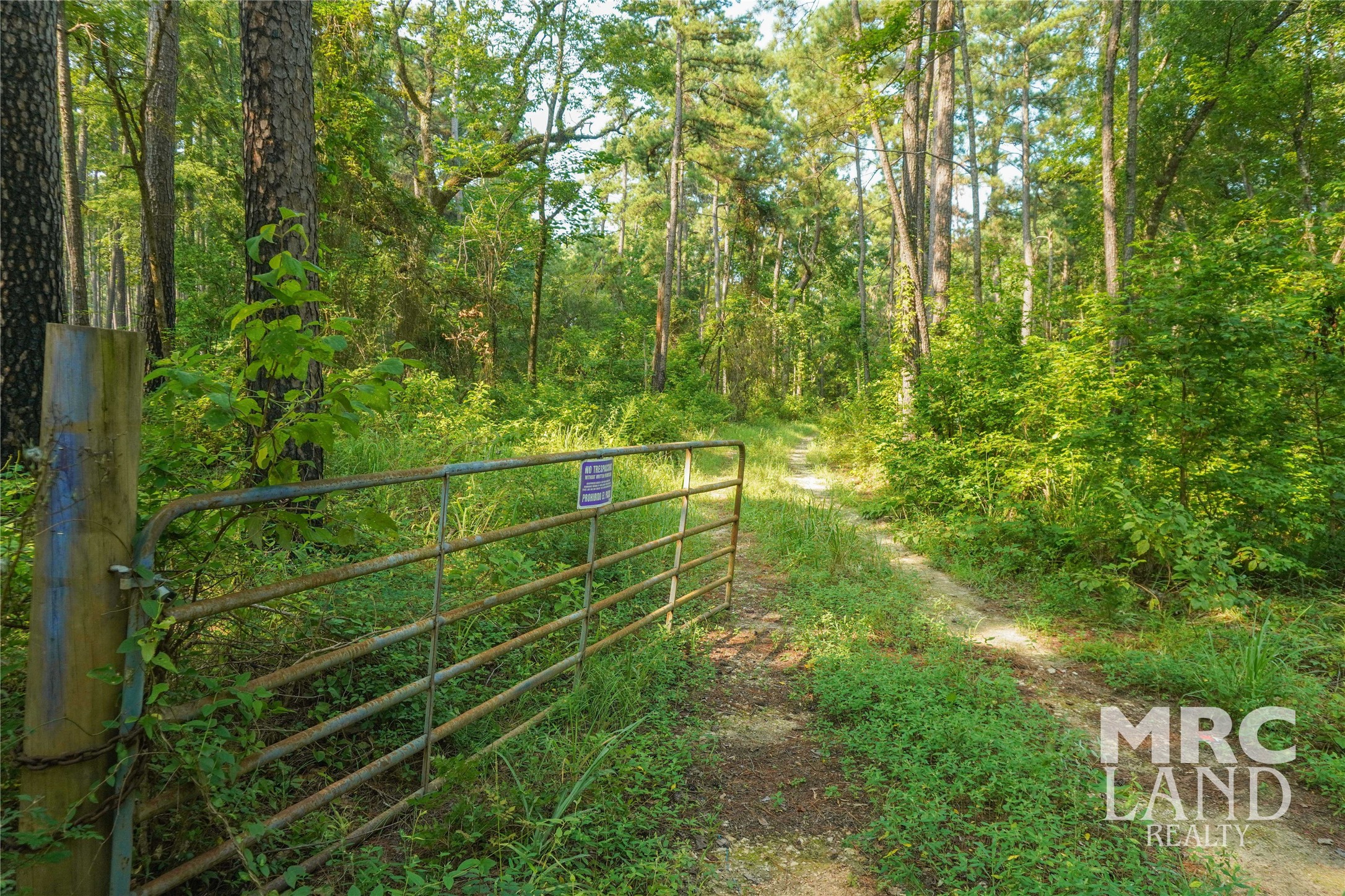 00 Forest Service Road 511 Property Photo 7