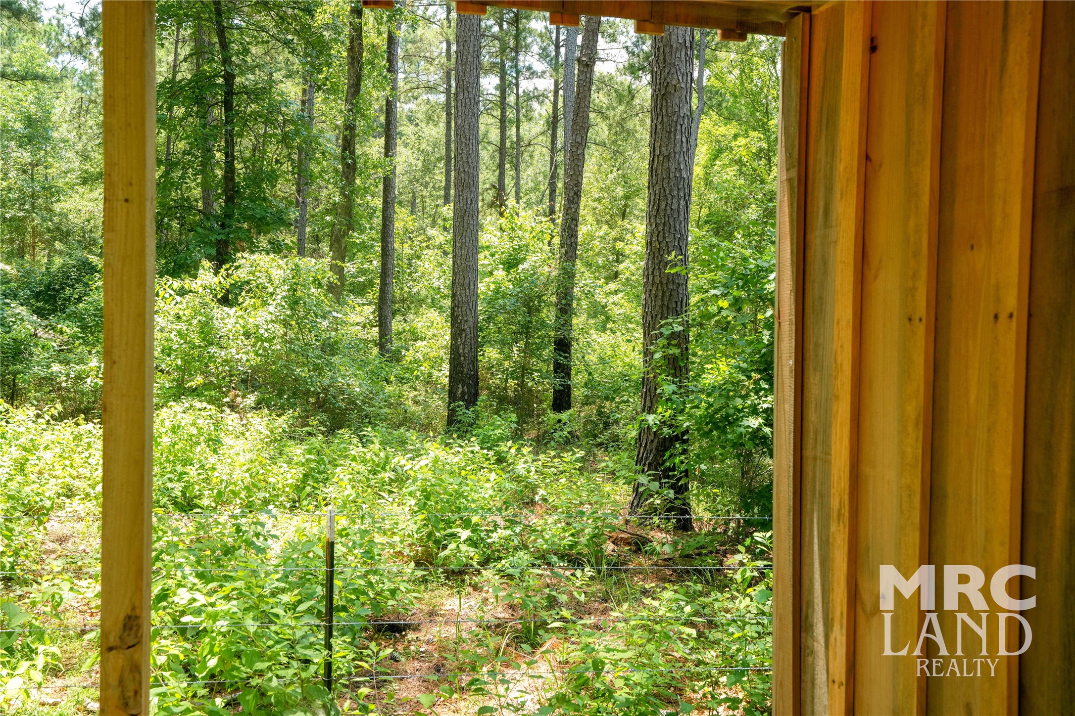 00 Forest Service Road 511 Property Photo 37