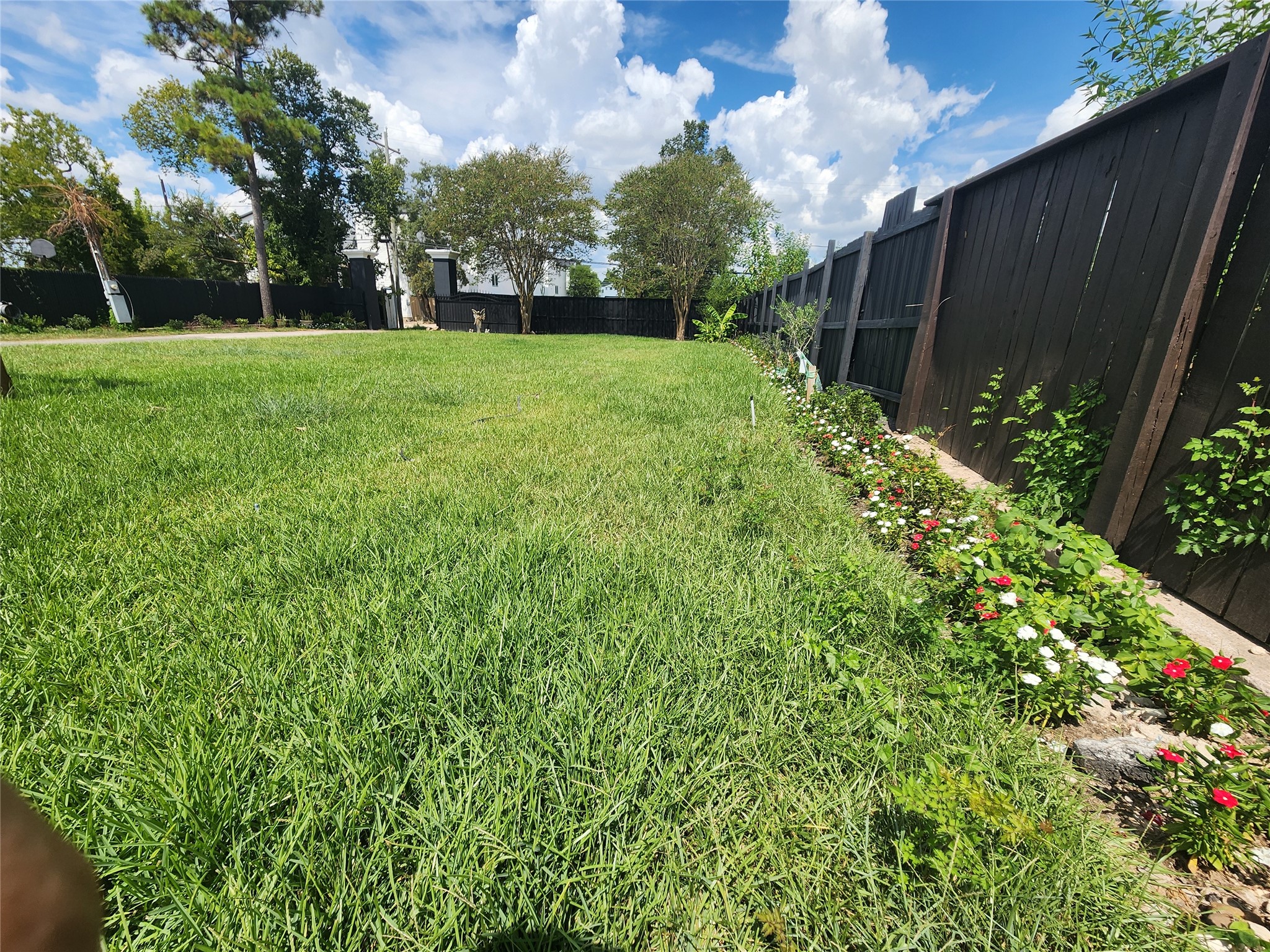 1611 De Soto Street Property Photo 6