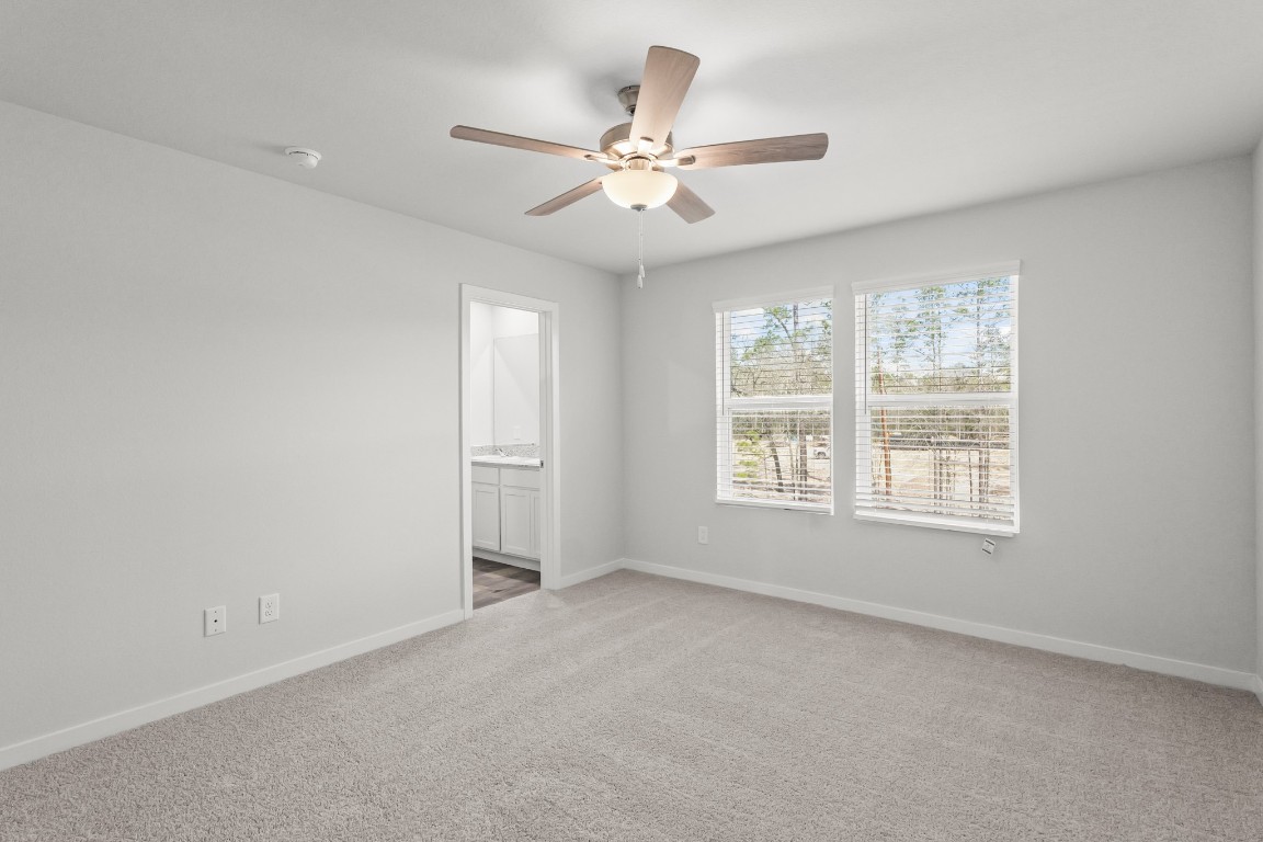 26211 Venus Trap Trail Property Photo 19