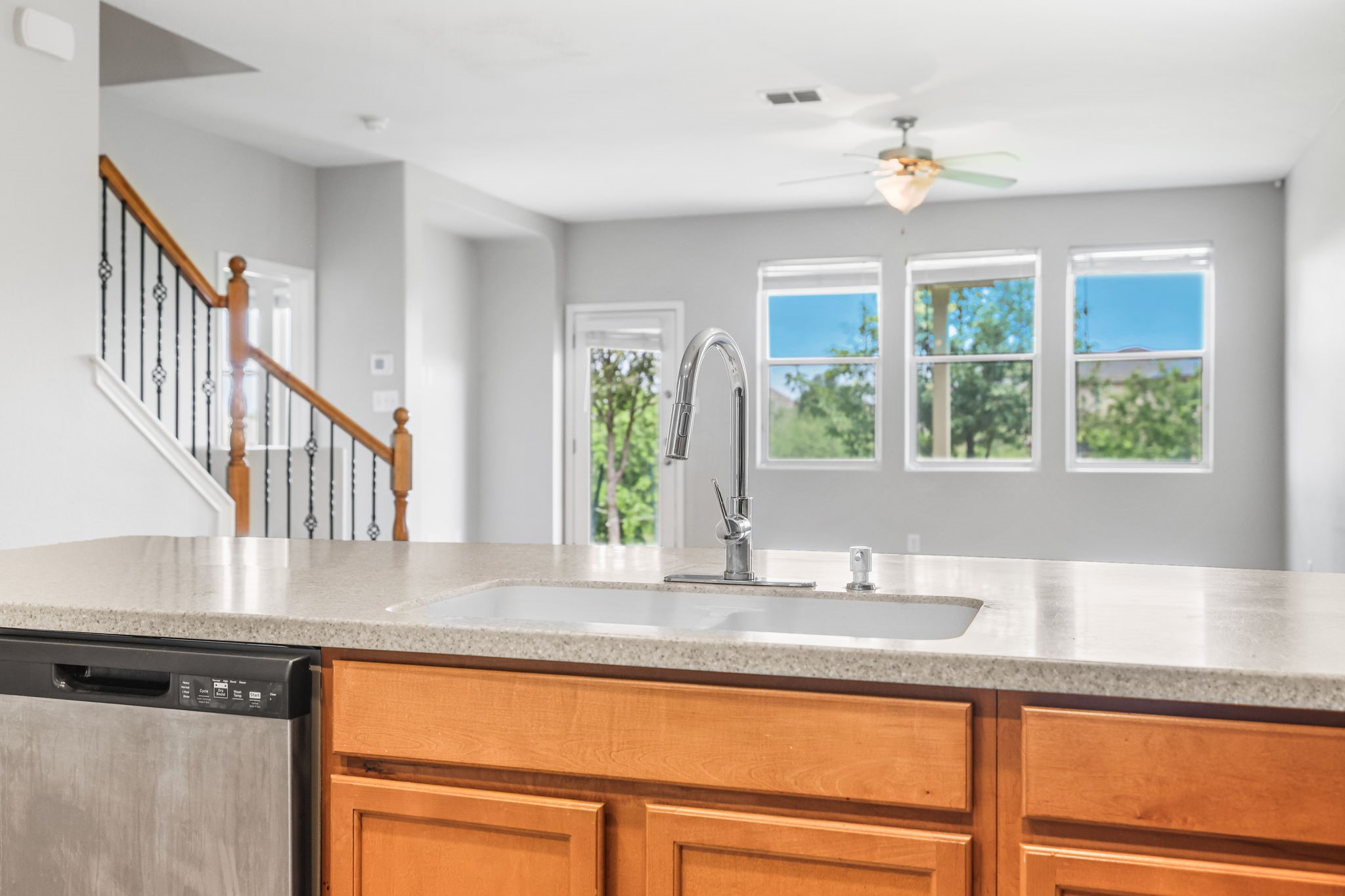 3103 Thunder Gulch Property Photo 10