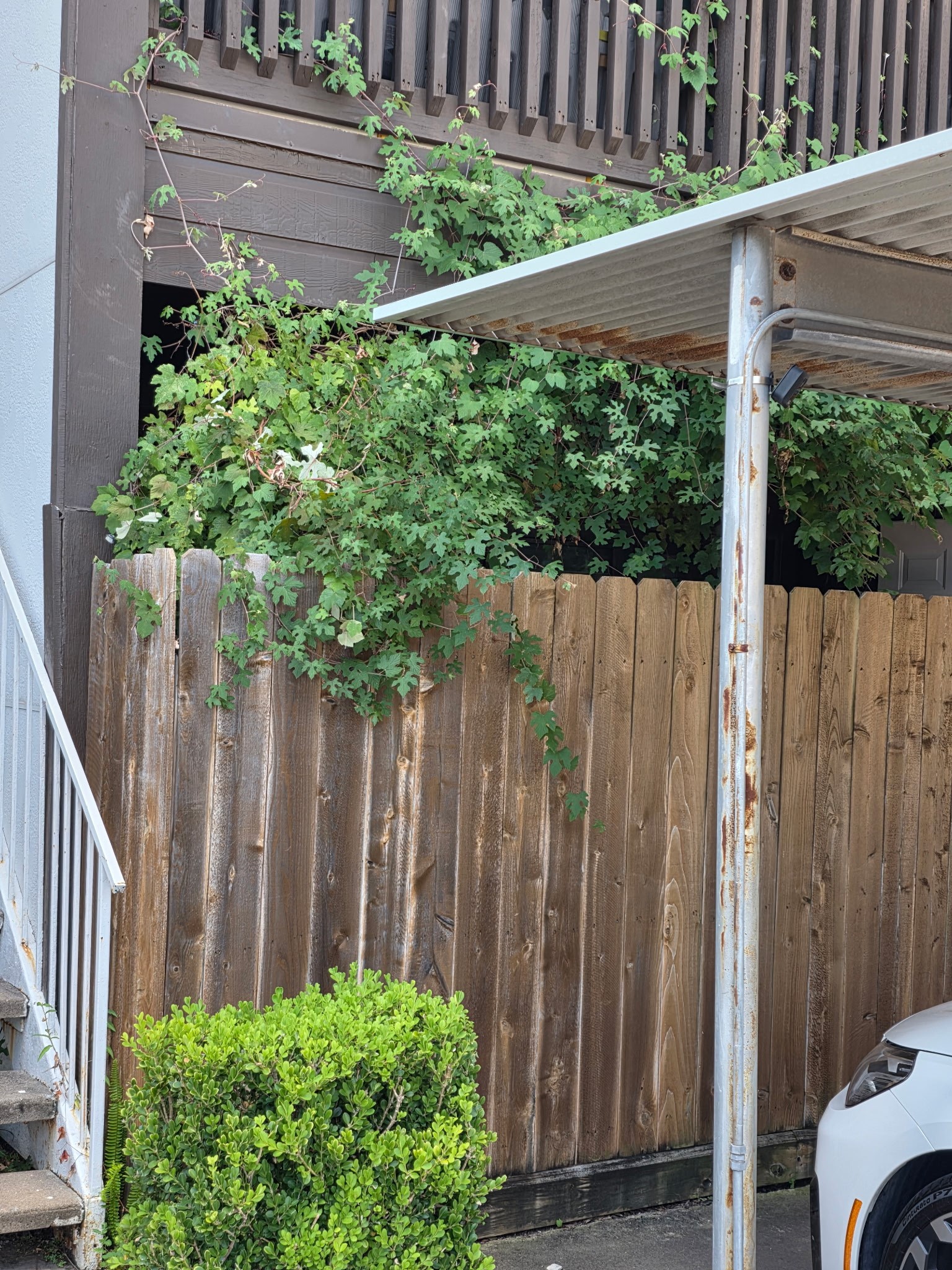 2601 S Braeswood Boulevard 1507 Property Photo 16