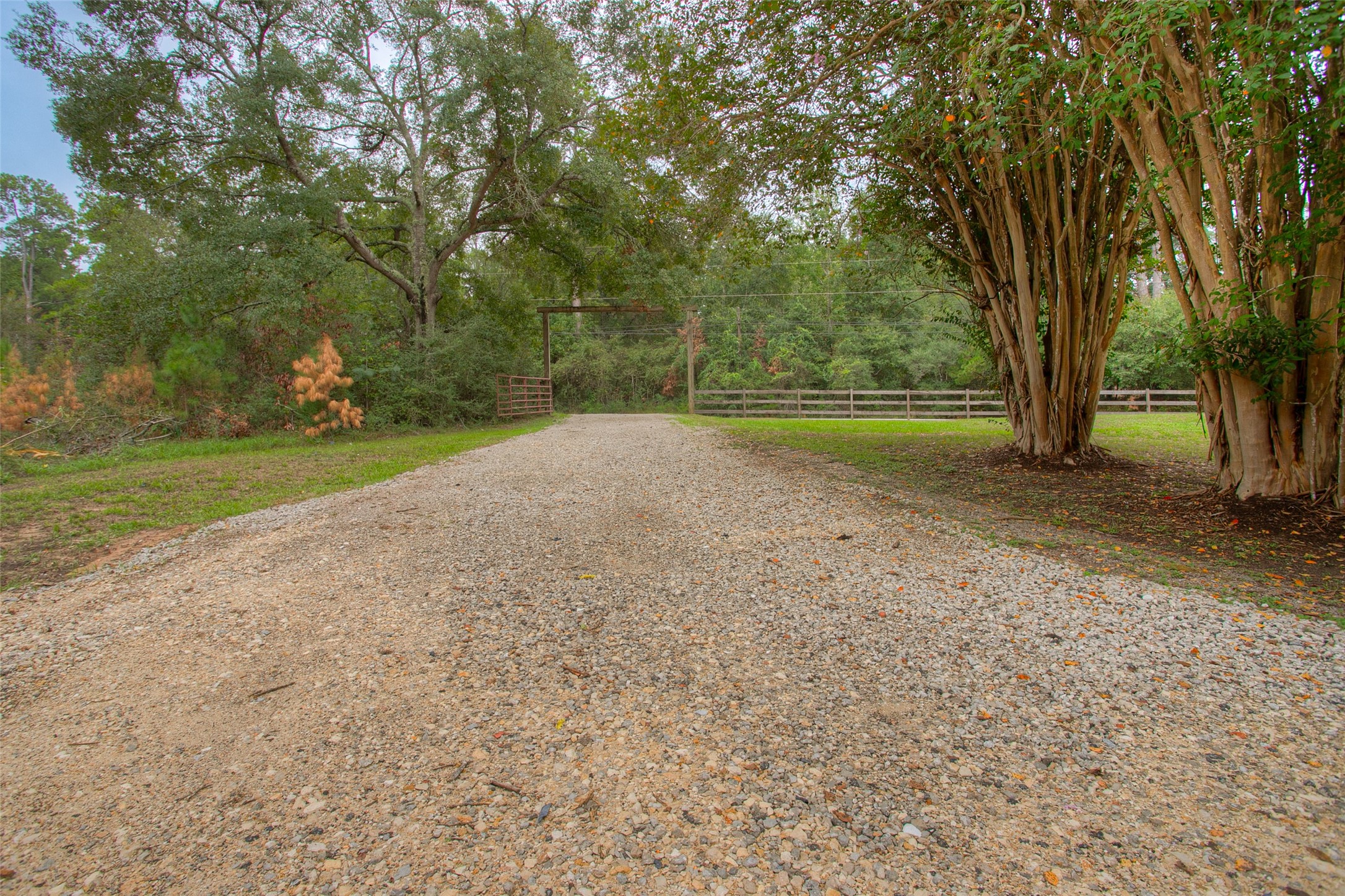 6016 Teas Nursery Road Property Photo 48