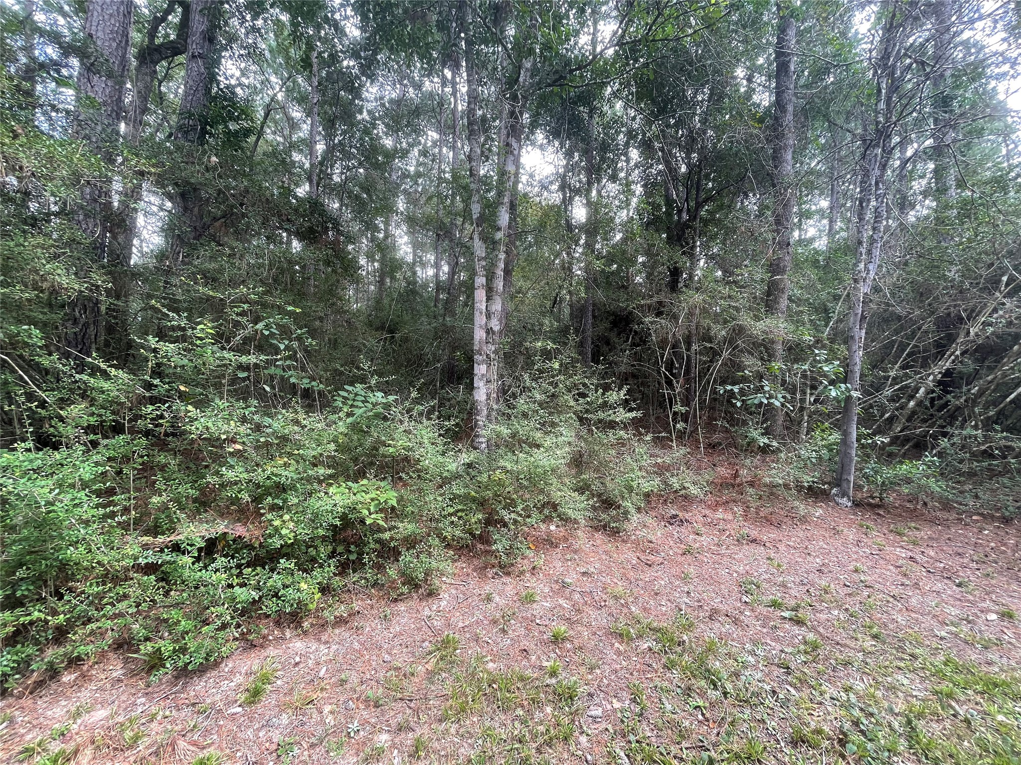 0 Corolla Road Property Photo 5